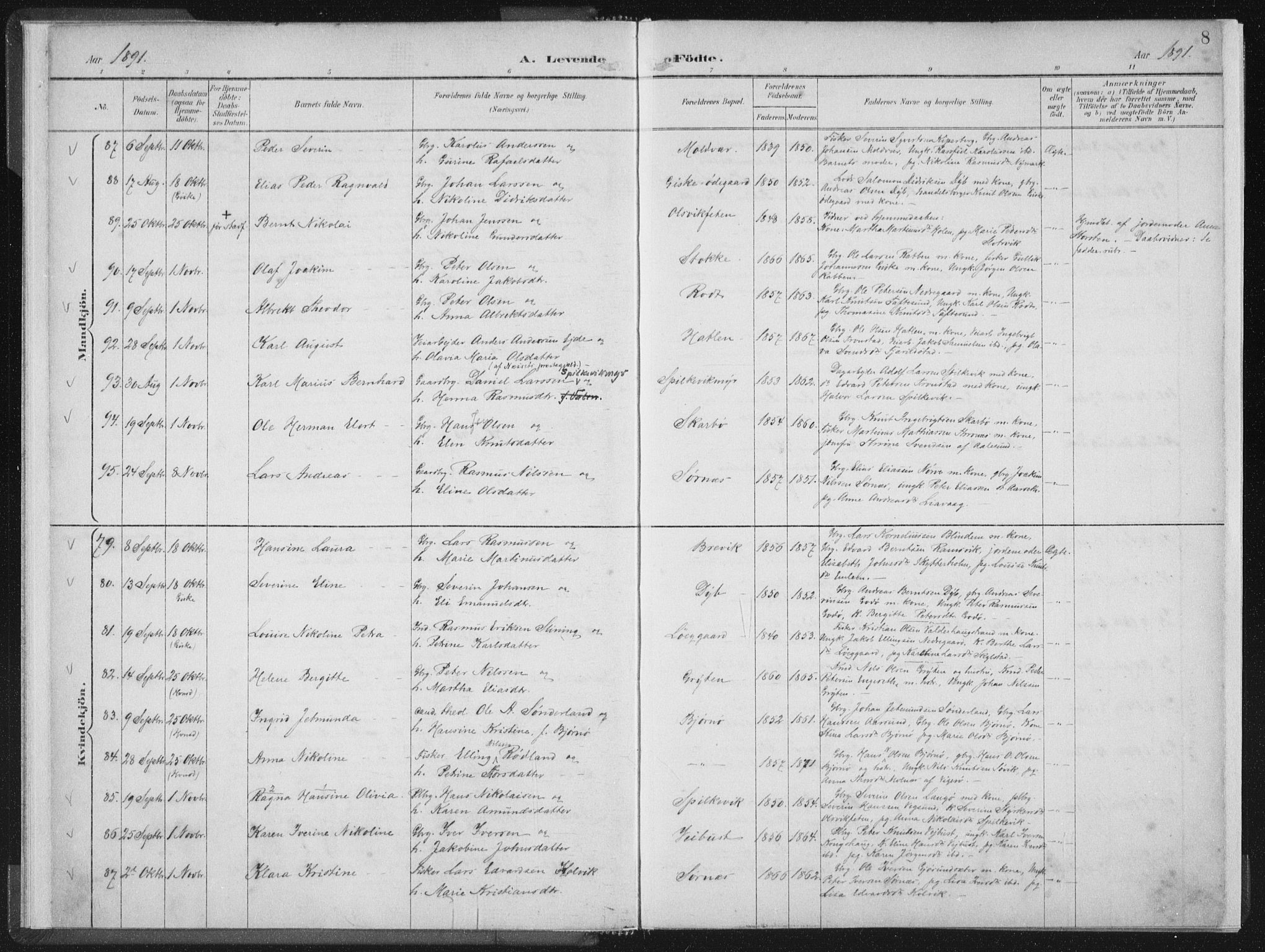 Ministerialprotokoller, klokkerbøker og fødselsregistre - Møre og Romsdal, AV/SAT-A-1454/528/L0405: Parish register (official) no. 528A14, 1891-1906, p. 8