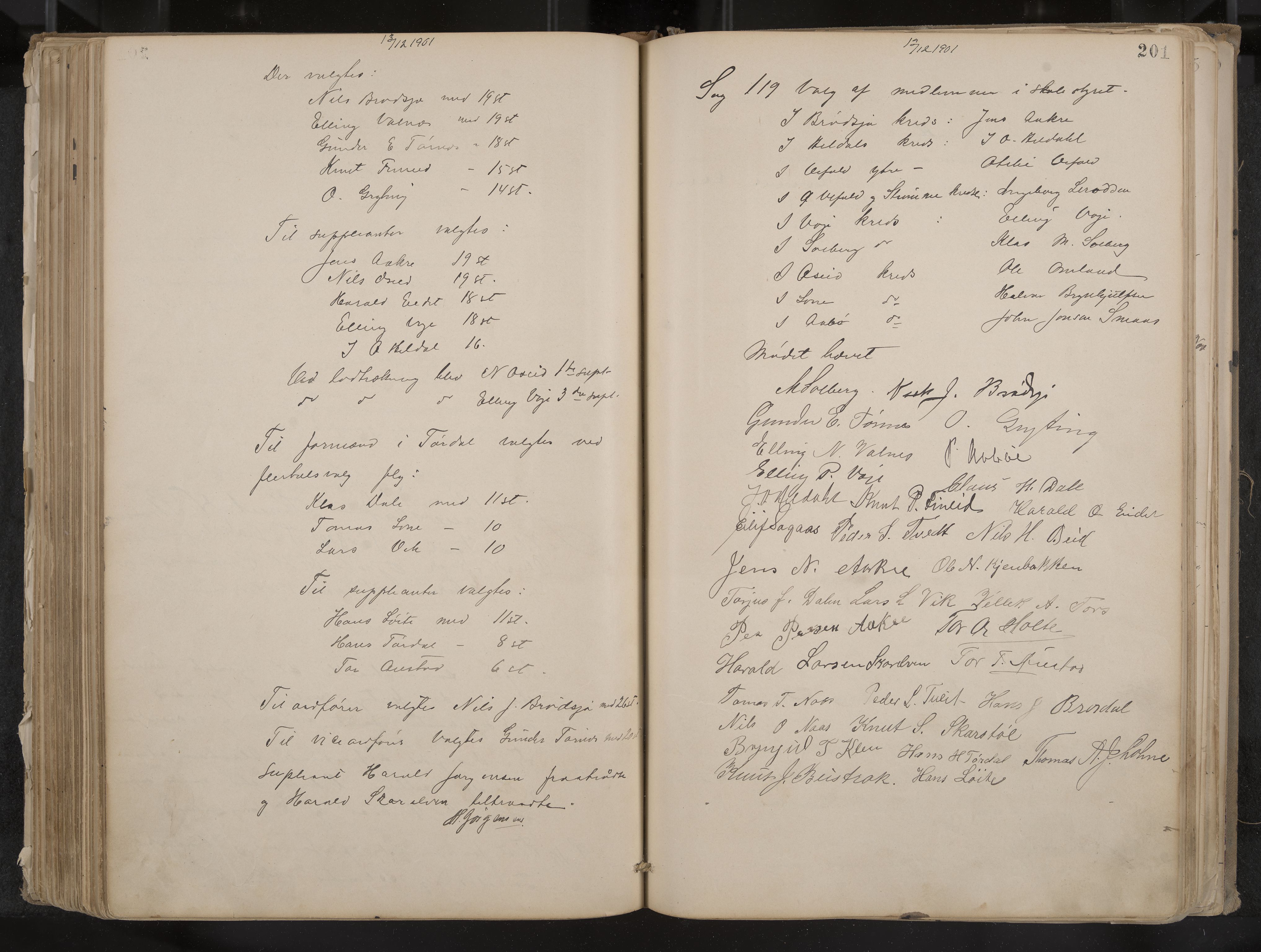 Drangedal formannskap og sentraladministrasjon, IKAK/0817021/A/L0003: Møtebok, 1893-1906, p. 201