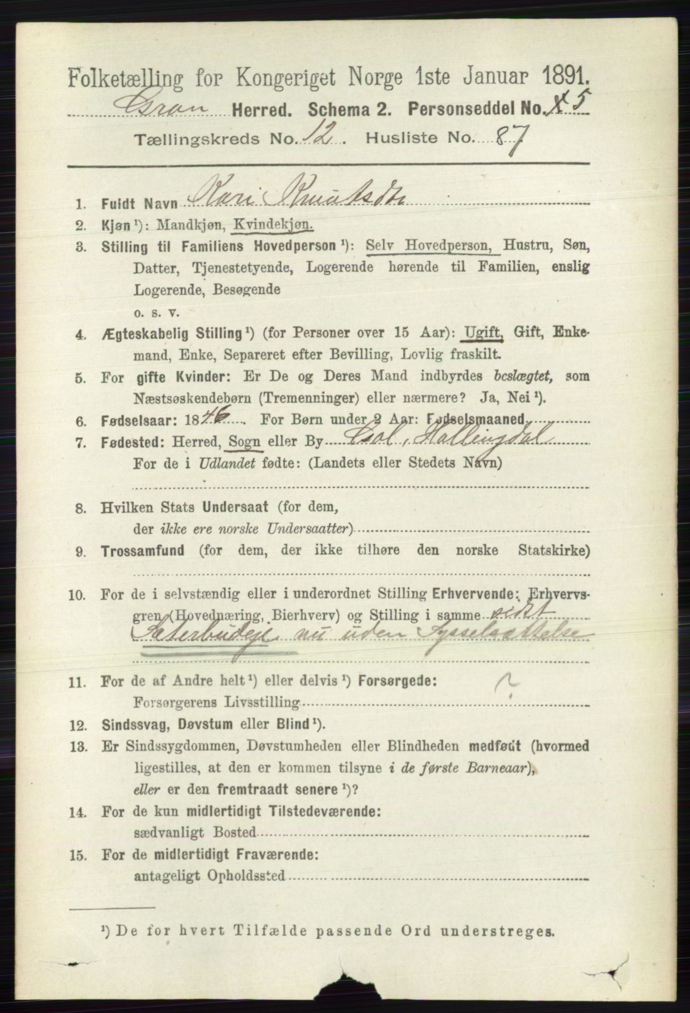 RA, 1891 census for 0534 Gran, 1891, p. 6716