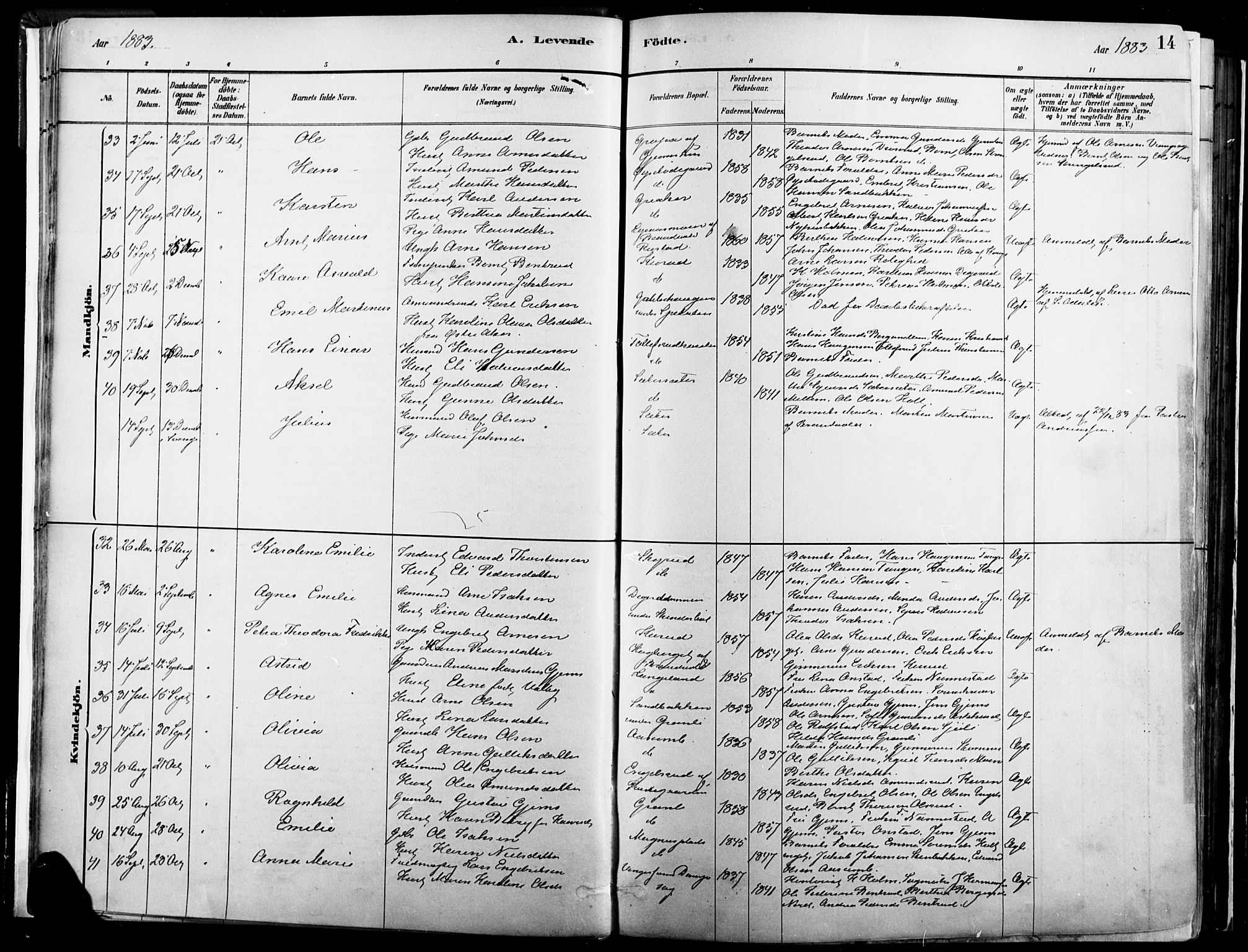 Vinger prestekontor, AV/SAH-PREST-024/H/Ha/Haa/L0014: Parish register (official) no. 14, 1881-1900, p. 14