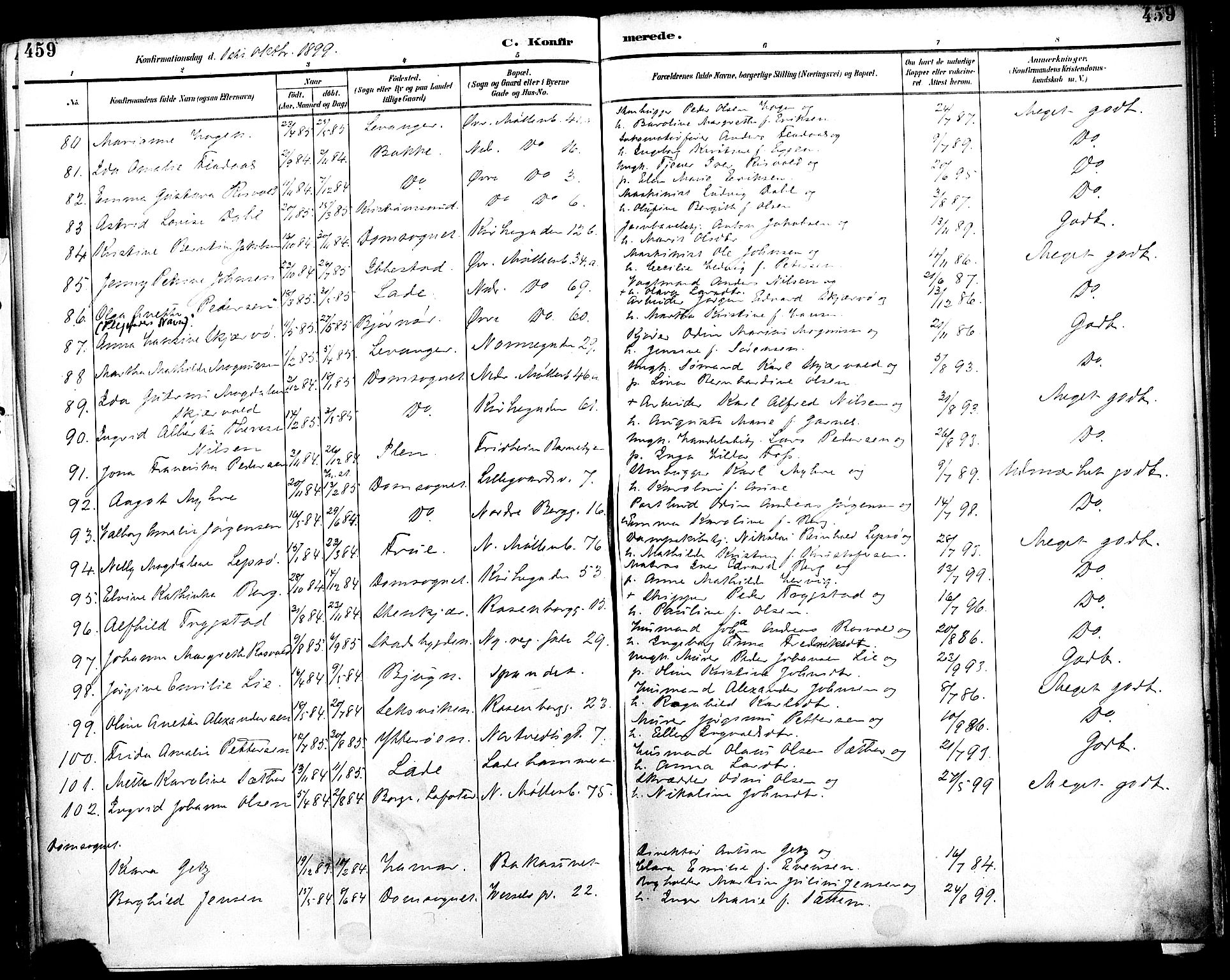 Ministerialprotokoller, klokkerbøker og fødselsregistre - Sør-Trøndelag, SAT/A-1456/604/L0197: Parish register (official) no. 604A18, 1893-1900, p. 459
