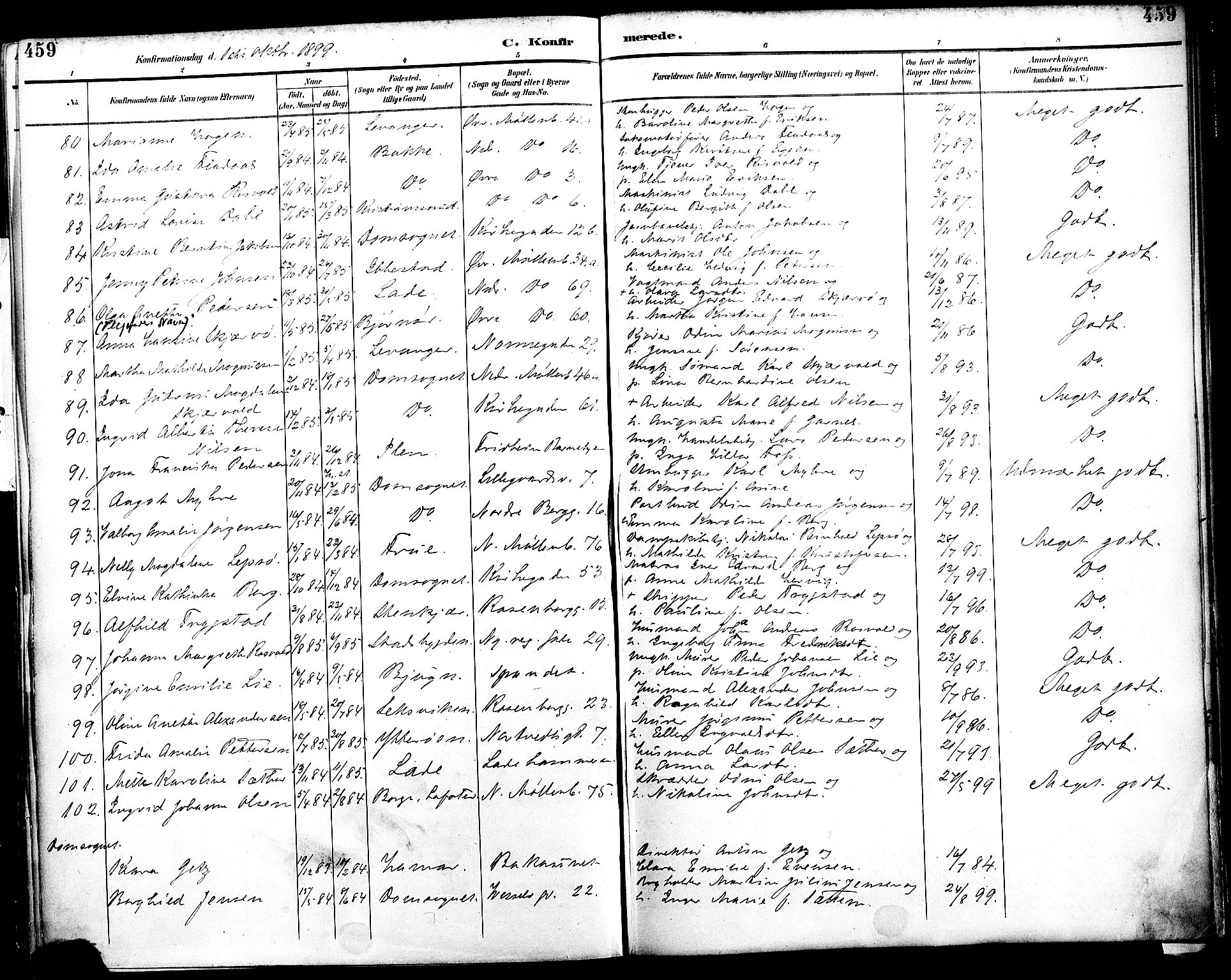 Ministerialprotokoller, klokkerbøker og fødselsregistre - Sør-Trøndelag, AV/SAT-A-1456/604/L0197: Parish register (official) no. 604A18, 1893-1900, p. 459