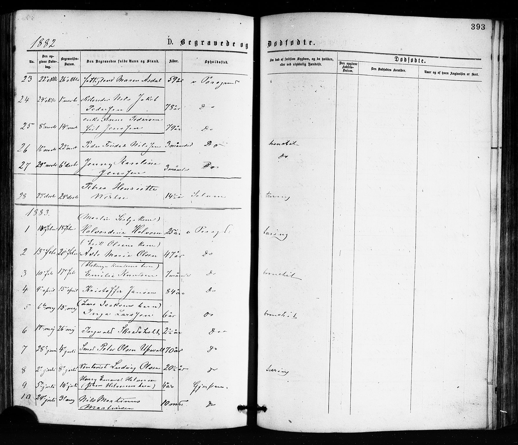 Porsgrunn kirkebøker , SAKO/A-104/G/Ga/L0003: Parish register (copy) no. I 3, 1877-1915, p. 393