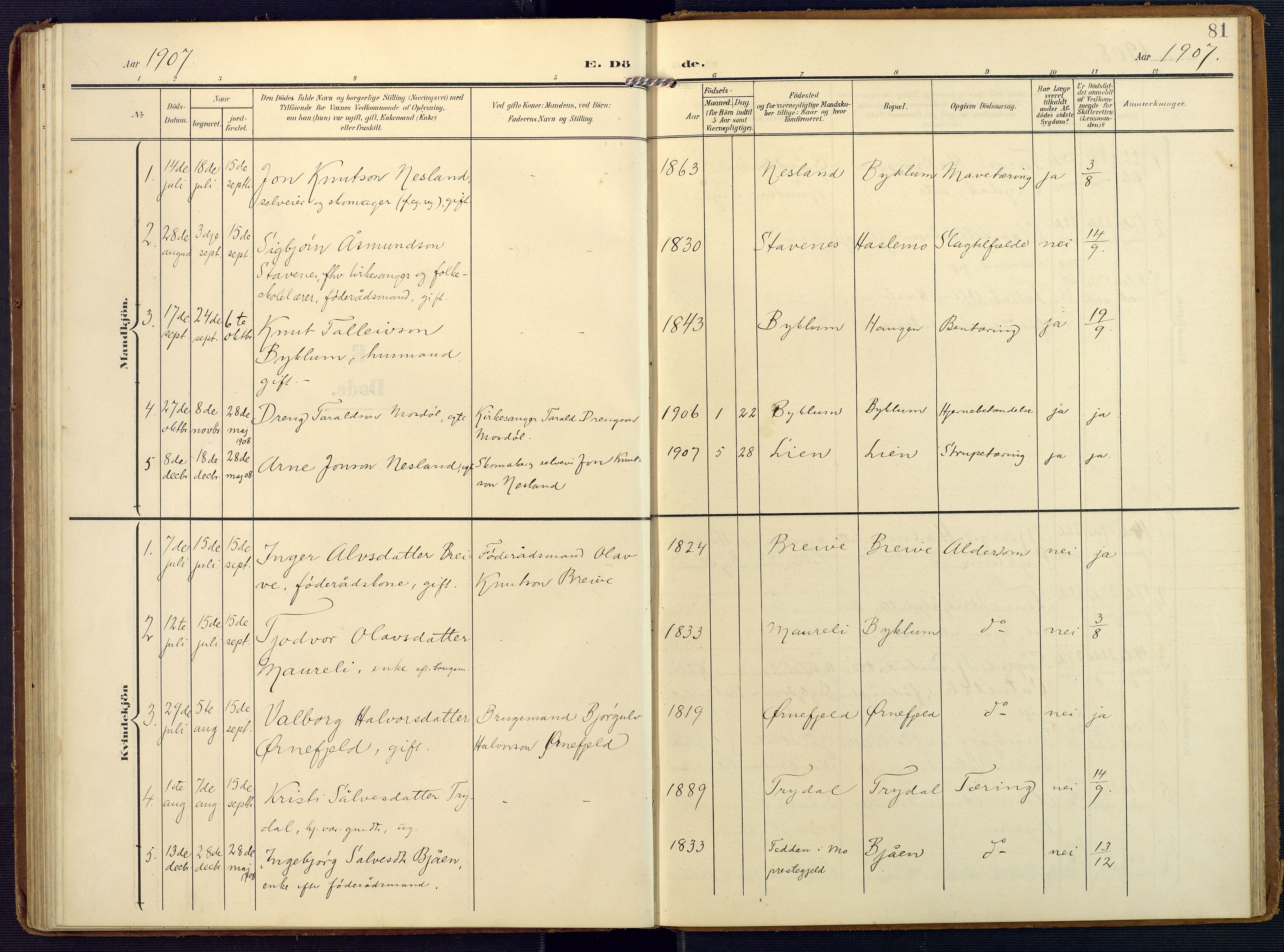 Valle sokneprestkontor, SAK/1111-0044/F/Fa/Faa/L0002: Parish register (official) no. A 2, 1907-1919, p. 81