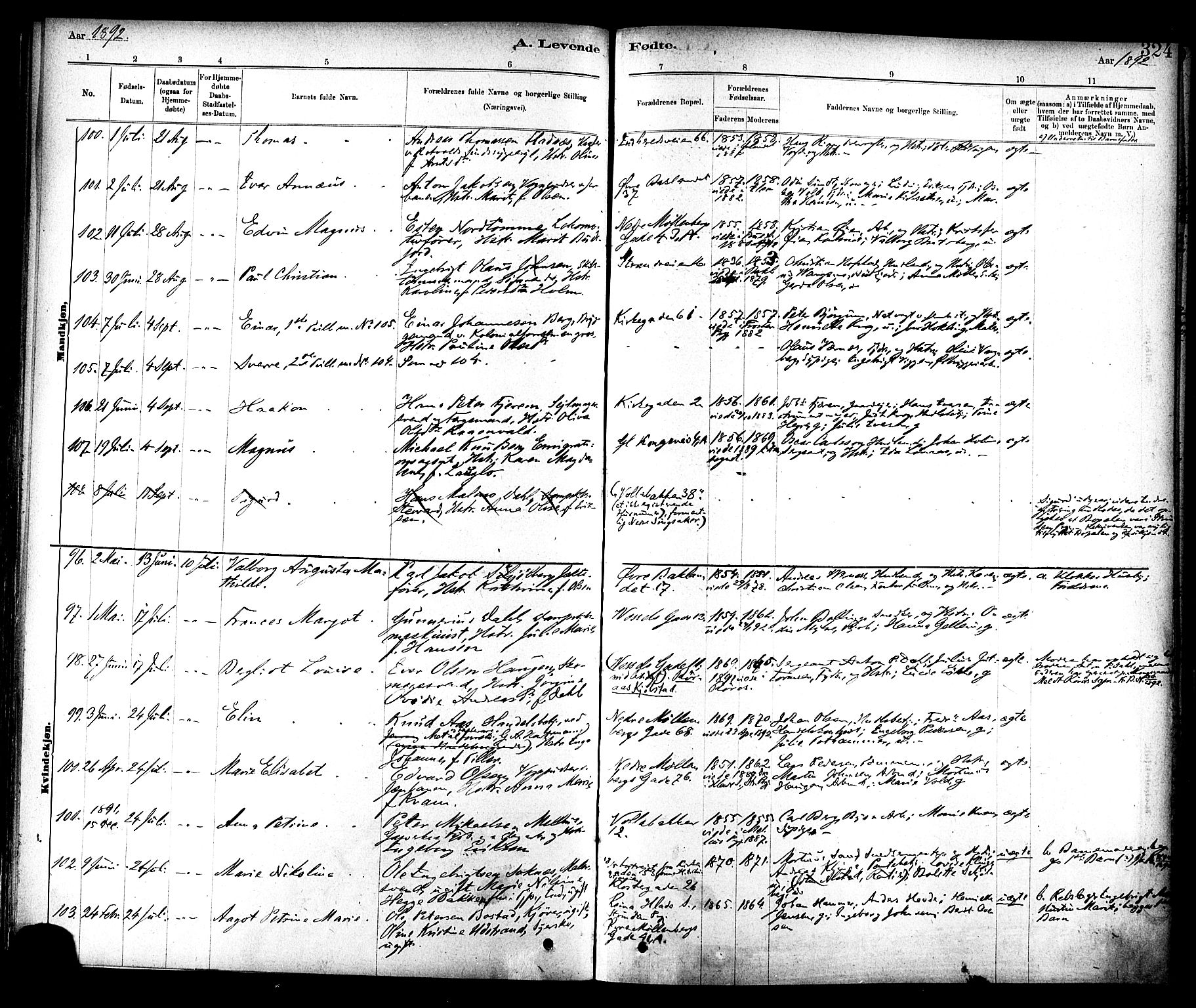 Ministerialprotokoller, klokkerbøker og fødselsregistre - Sør-Trøndelag, AV/SAT-A-1456/604/L0188: Parish register (official) no. 604A09, 1878-1892, p. 324