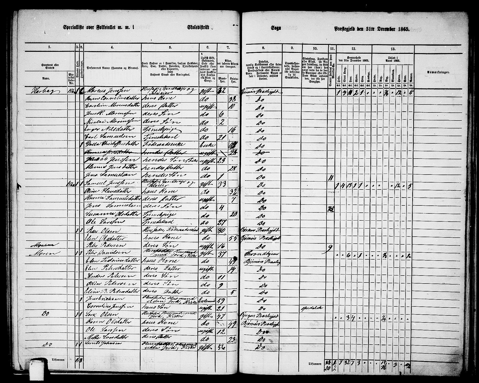 RA, 1865 census for Bjørnør, 1865, p. 116