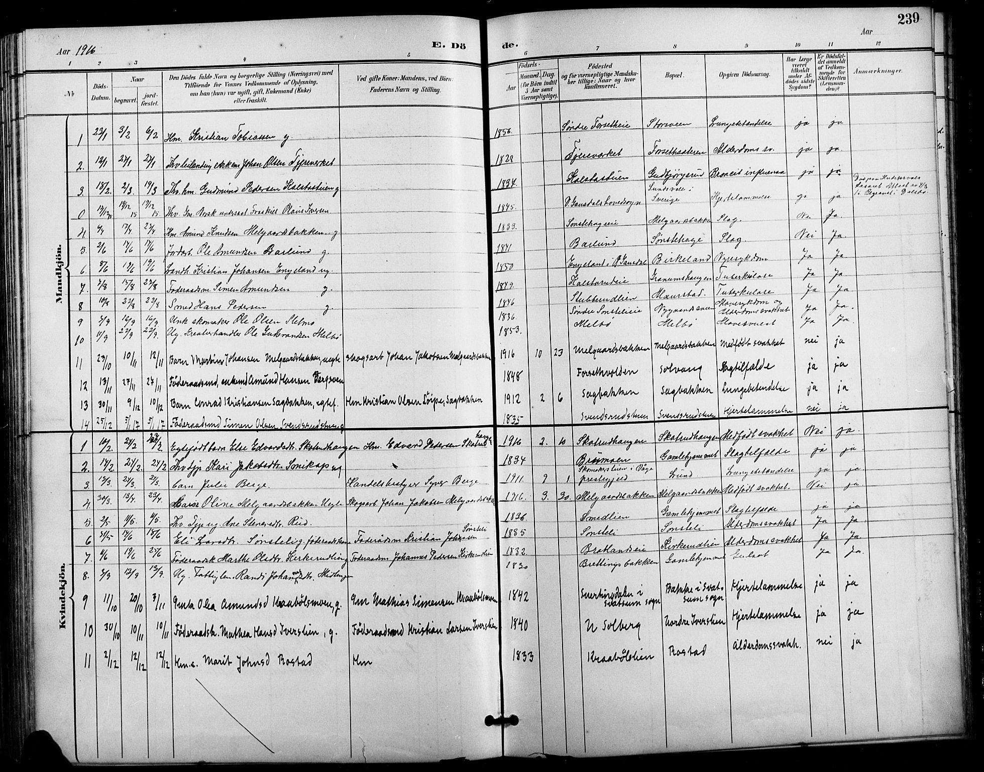 Vestre Gausdal prestekontor, SAH/PREST-094/H/Ha/Hab/L0003: Parish register (copy) no. 3, 1896-1925, p. 239