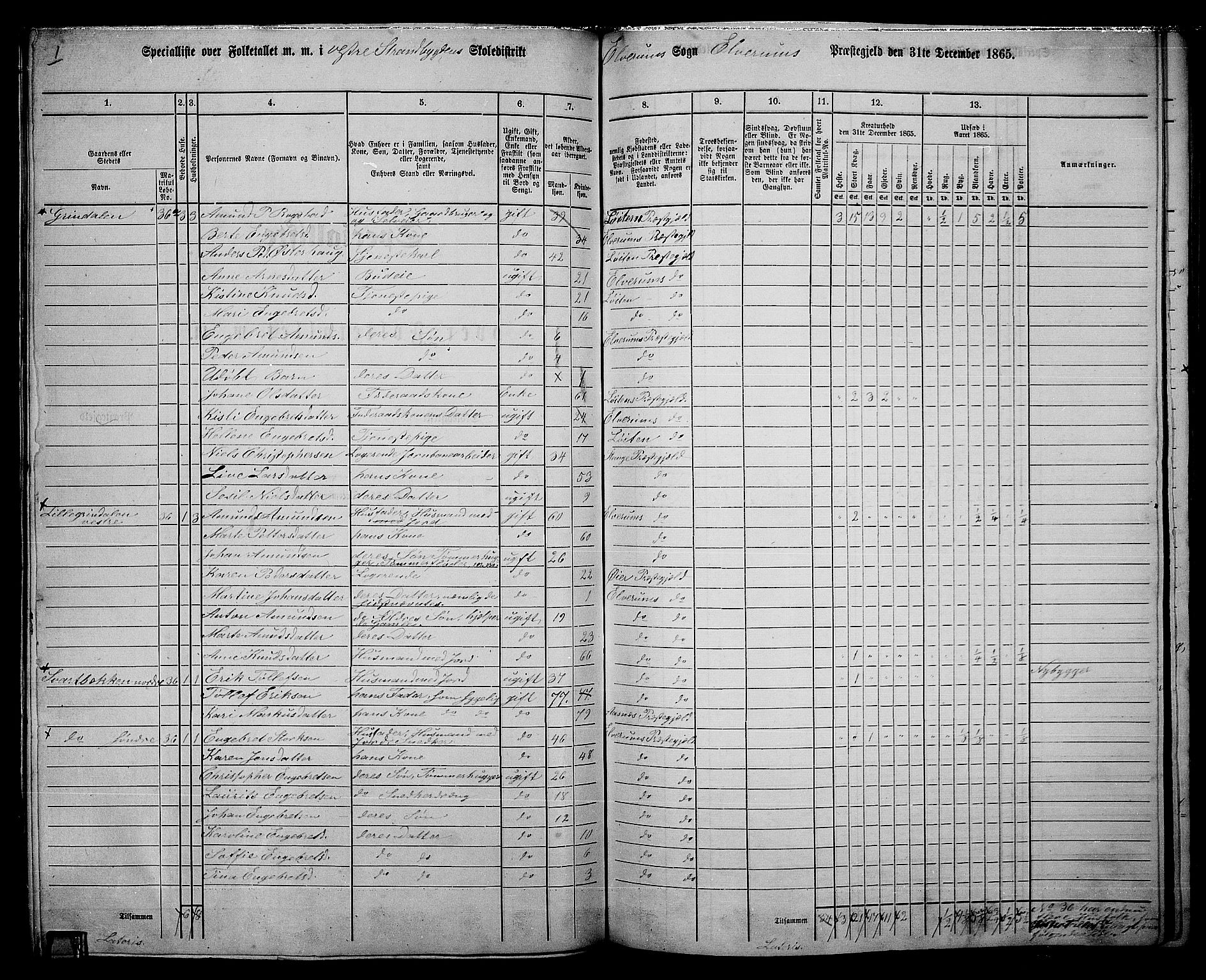 RA, 1865 census for Elverum, 1865, p. 119