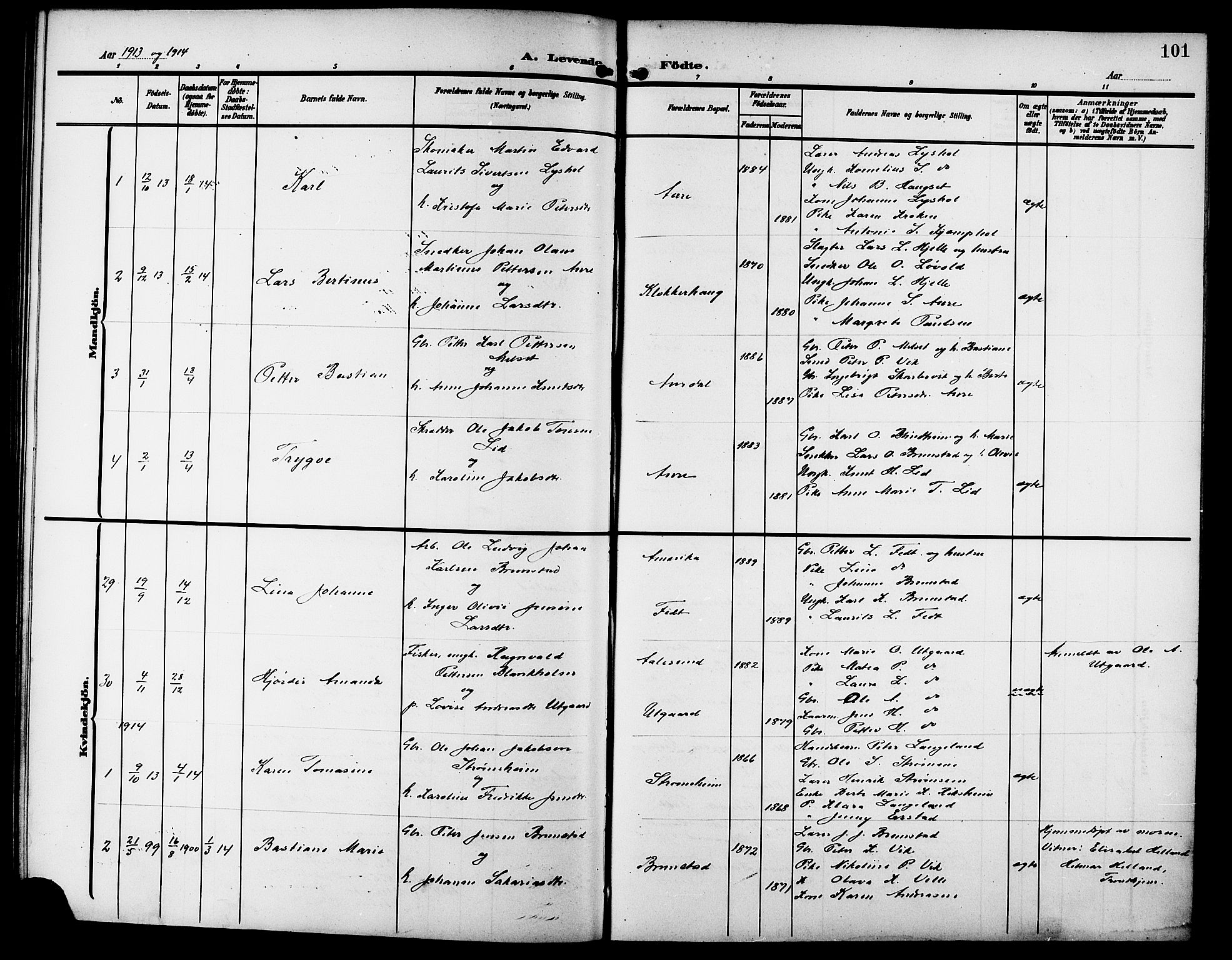 Ministerialprotokoller, klokkerbøker og fødselsregistre - Møre og Romsdal, SAT/A-1454/523/L0341: Parish register (copy) no. 523C04, 1903-1916, p. 101