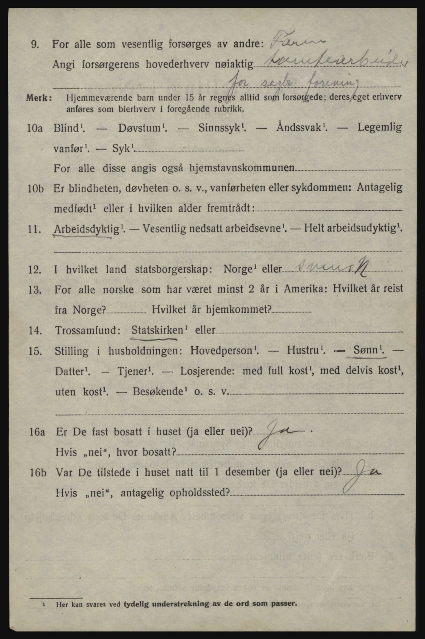 SAO, 1920 census for Idd, 1920, p. 4017