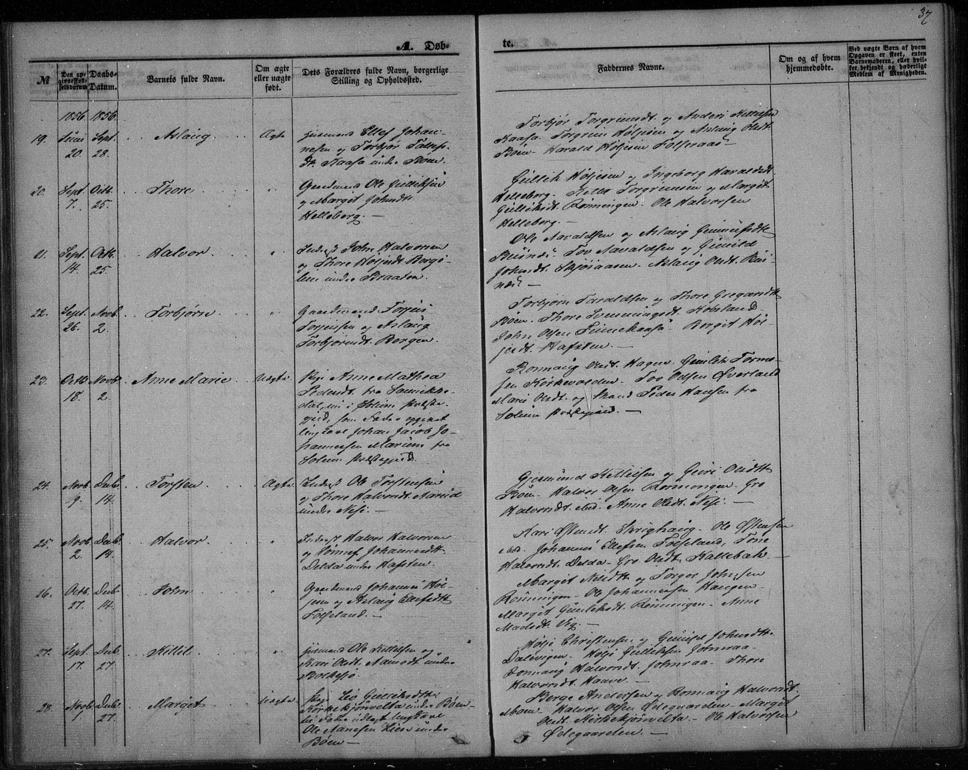 Gransherad kirkebøker, AV/SAKO-A-267/F/Fa/L0002: Parish register (official) no. I 2, 1844-1859, p. 37