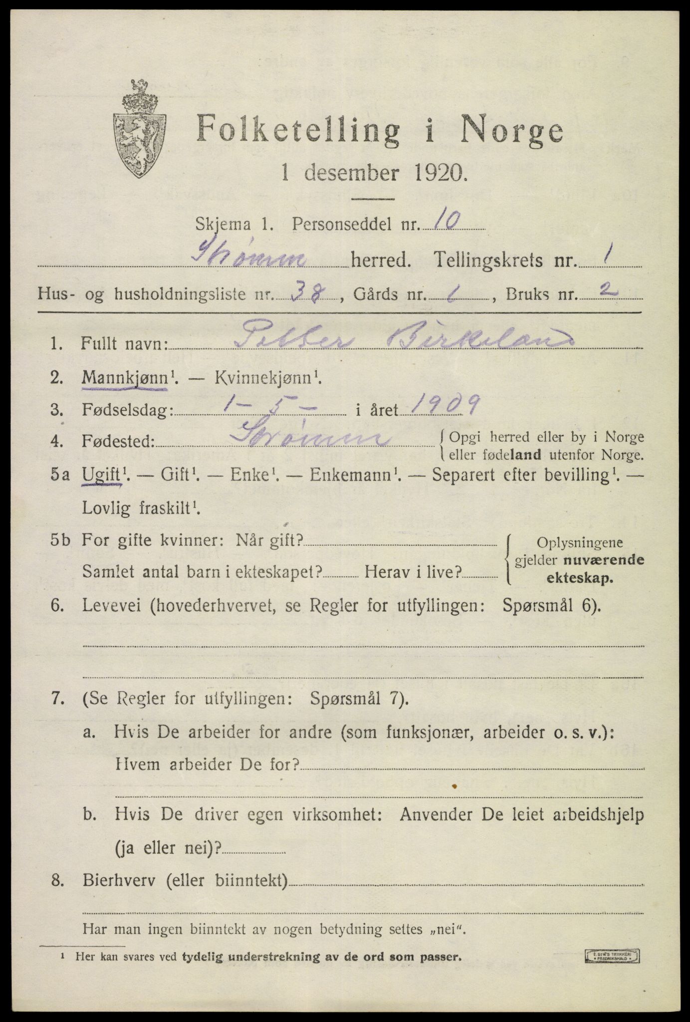 SAKO, 1920 census for Strømm, 1920, p. 1173