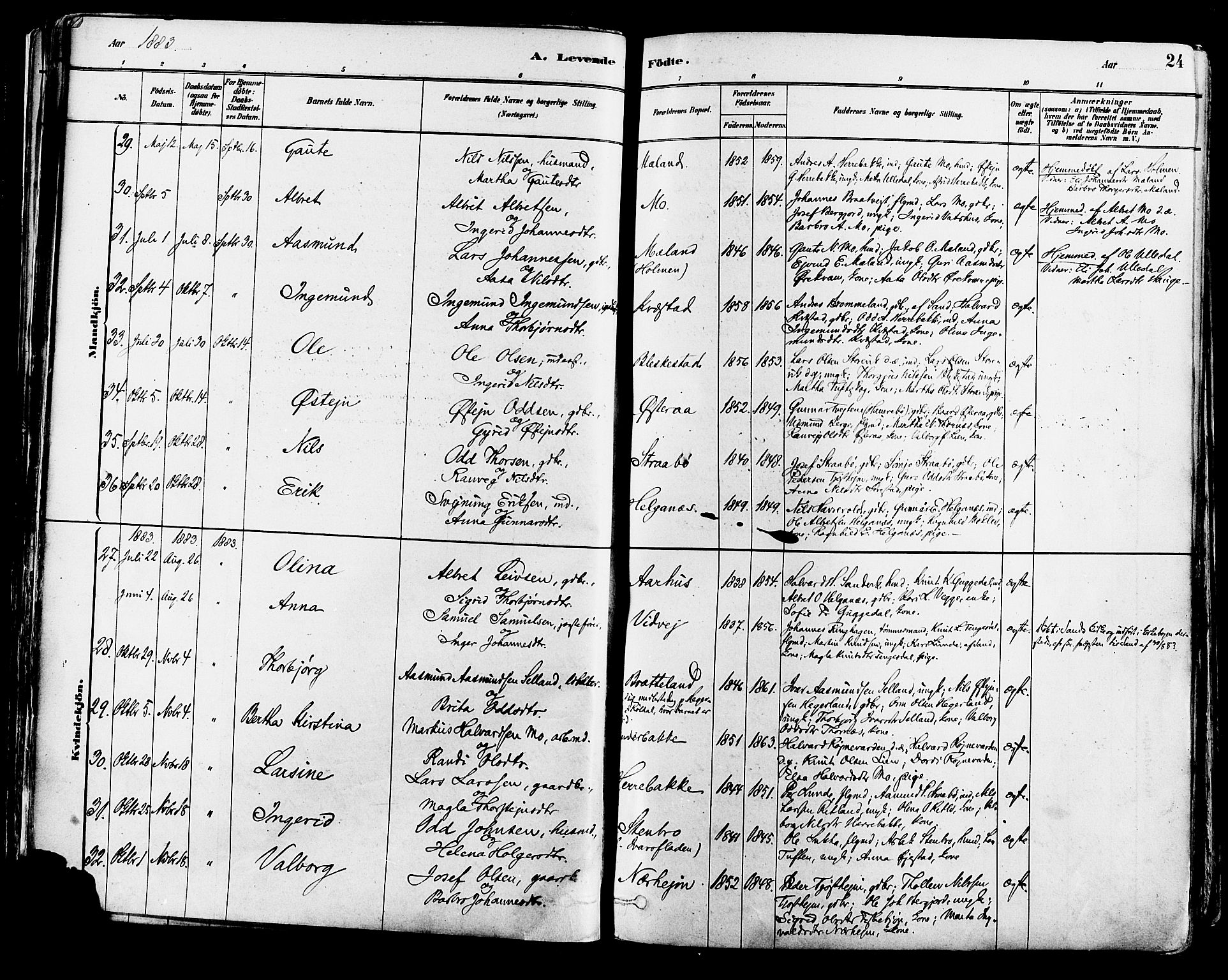 Suldal sokneprestkontor, AV/SAST-A-101845/01/IV/L0011: Parish register (official) no. A 11, 1878-1900, p. 24