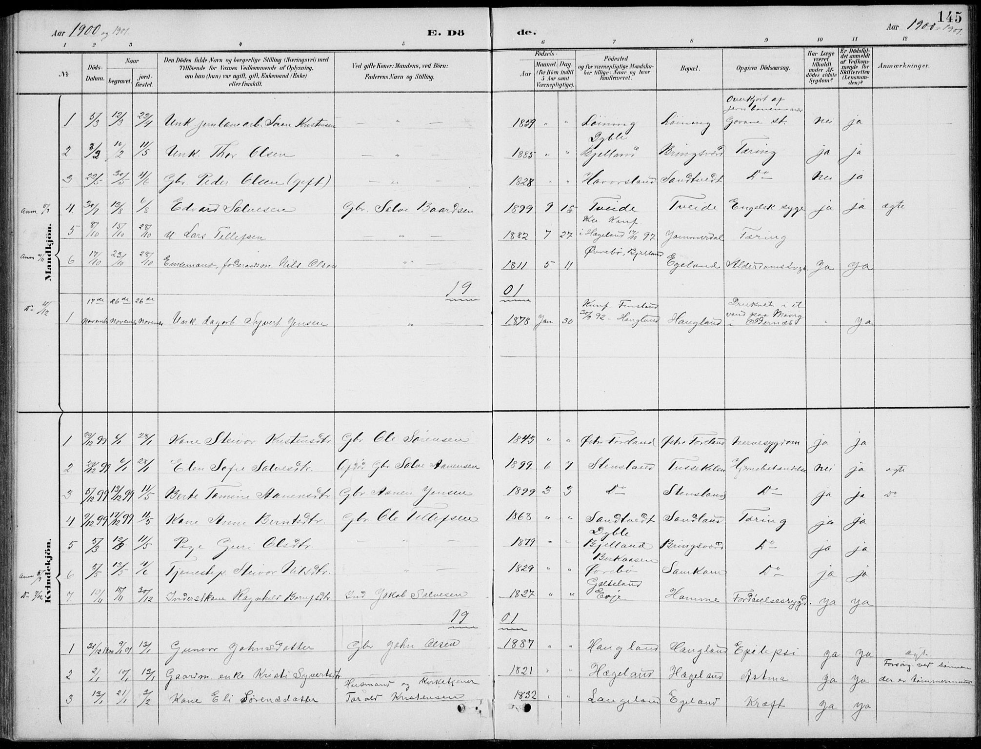 Vennesla sokneprestkontor, AV/SAK-1111-0045/Fb/Fba/L0003: Parish register (copy) no. B 3, 1890-1919, p. 145