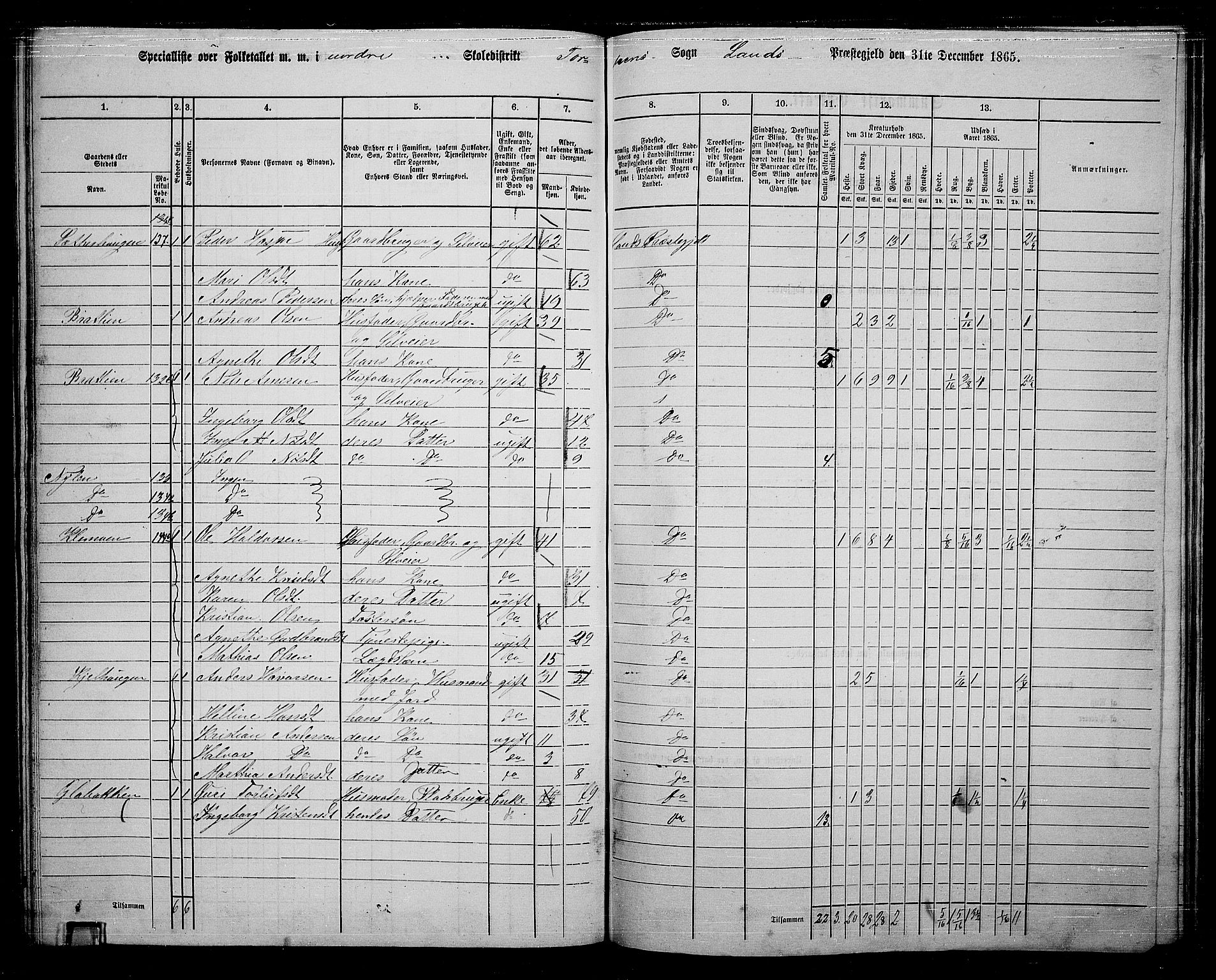 RA, 1865 census for Land, 1865, p. 147