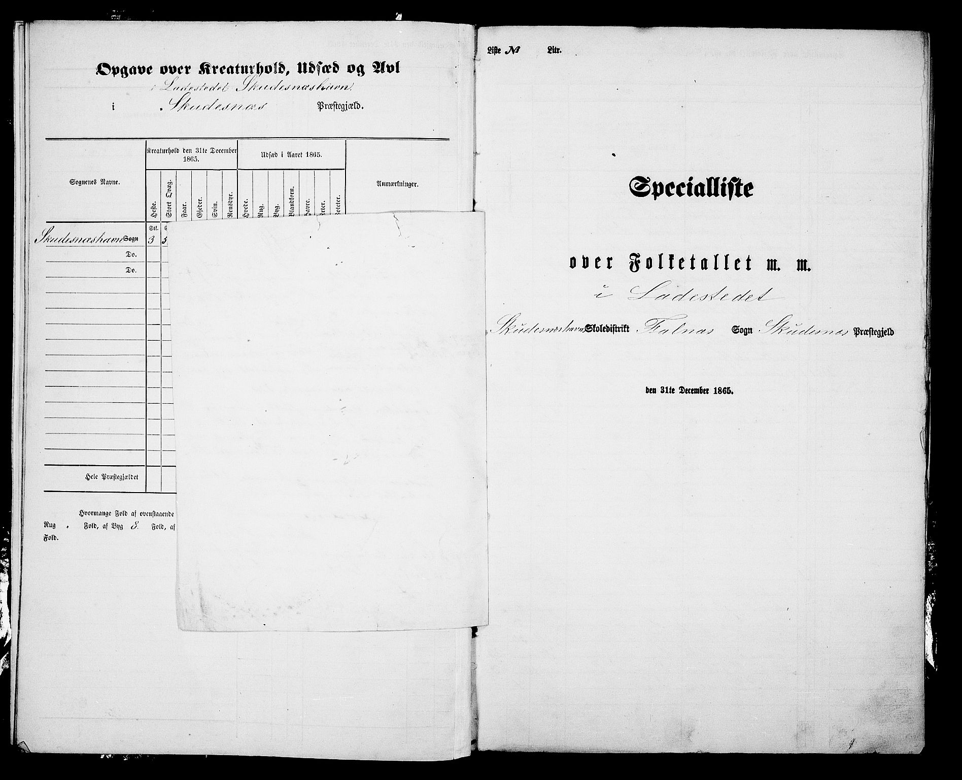 RA, 1865 census for Skudenes, 1865, p. 211