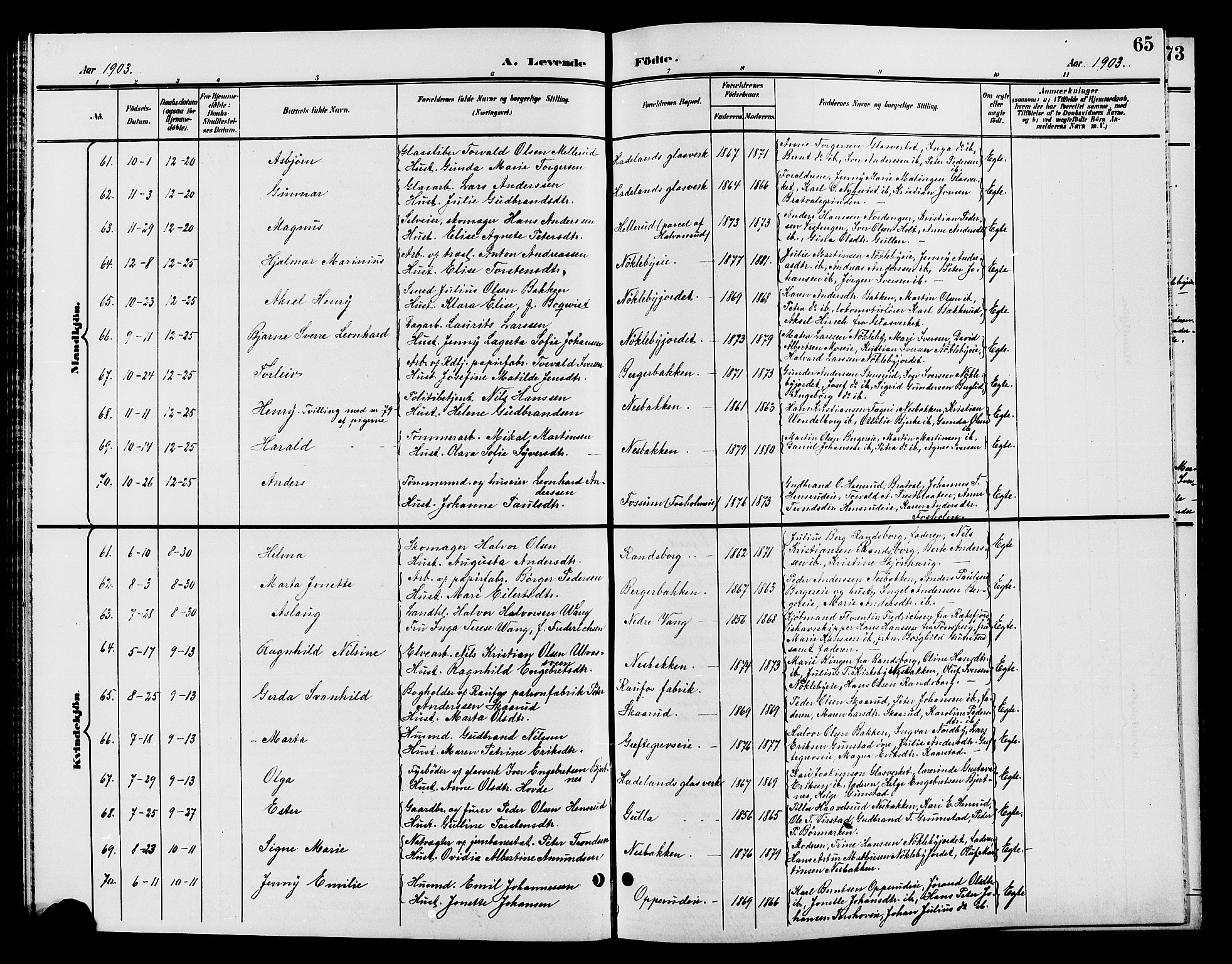 Jevnaker prestekontor, AV/SAH-PREST-116/H/Ha/Hab/L0002: Parish register (copy) no. 2, 1896-1906, p. 65