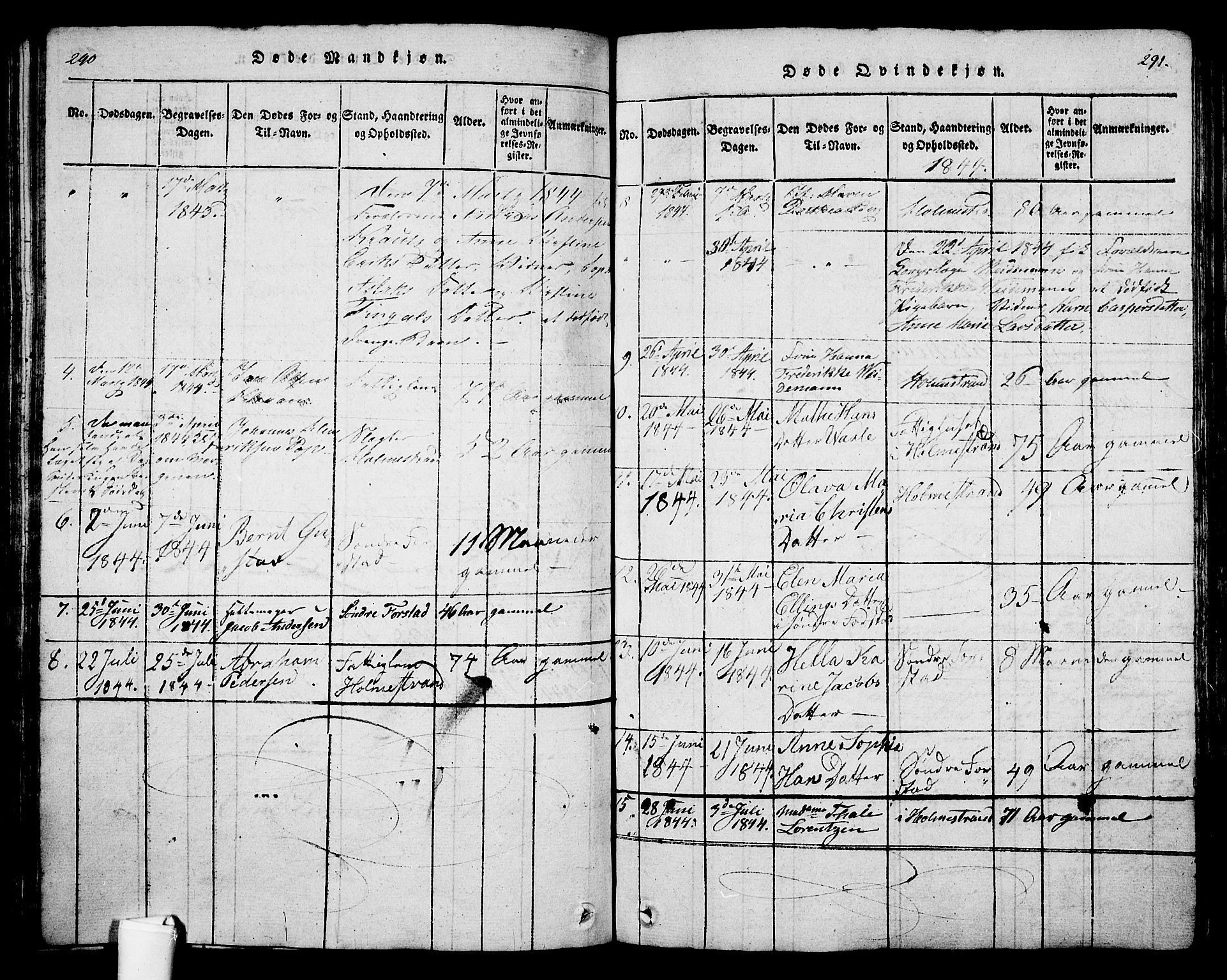 Holmestrand kirkebøker, SAKO/A-346/G/Ga/L0001: Parish register (copy) no. 1, 1814-1848, p. 290-291