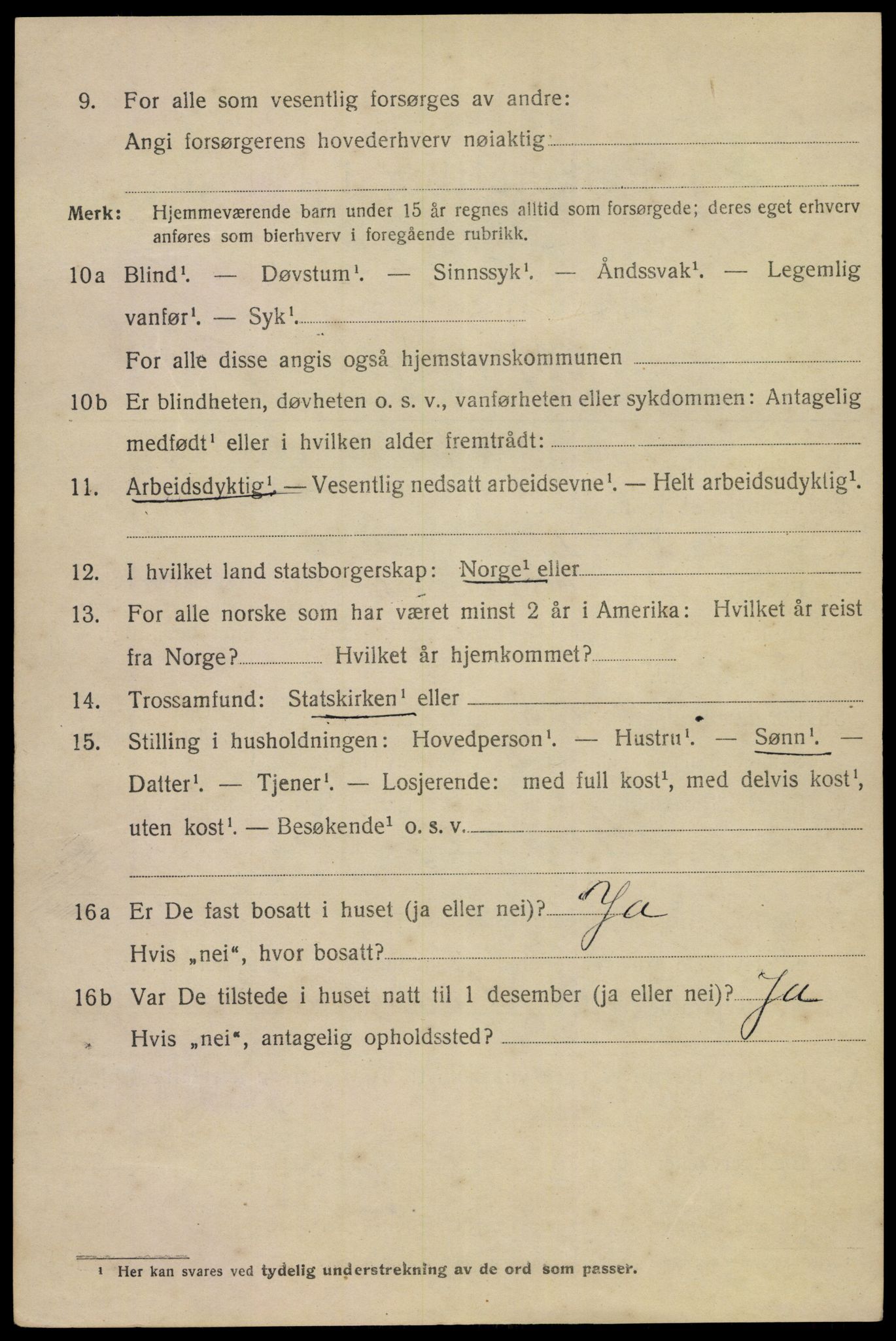 SAKO, 1920 census for Porsgrunn, 1920, p. 17358