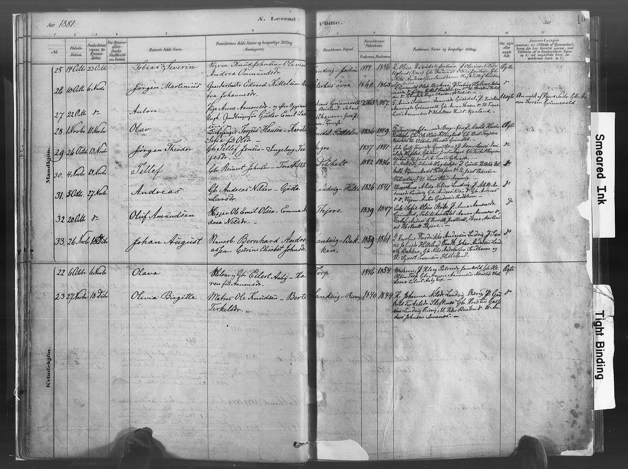 Hommedal sokneprestkontor, AV/SAK-1111-0023/F/Fa/Fab/L0006: Parish register (official) no. A 6, 1878-1897, p. 16