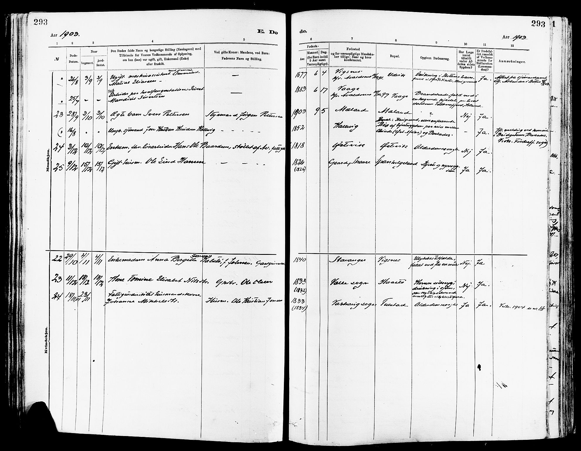 Avaldsnes sokneprestkontor, AV/SAST-A -101851/H/Ha/Haa/L0015: Parish register (official) no. A 15, 1880-1906, p. 293