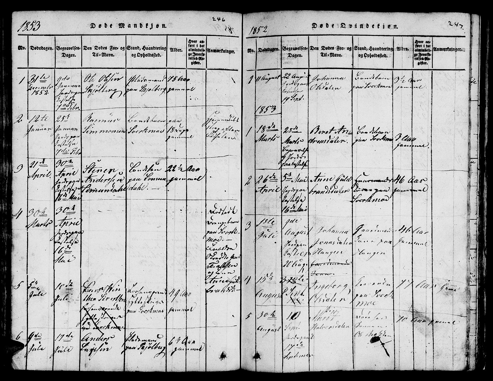 Ministerialprotokoller, klokkerbøker og fødselsregistre - Sør-Trøndelag, AV/SAT-A-1456/671/L0842: Parish register (copy) no. 671C01, 1816-1867, p. 246-247