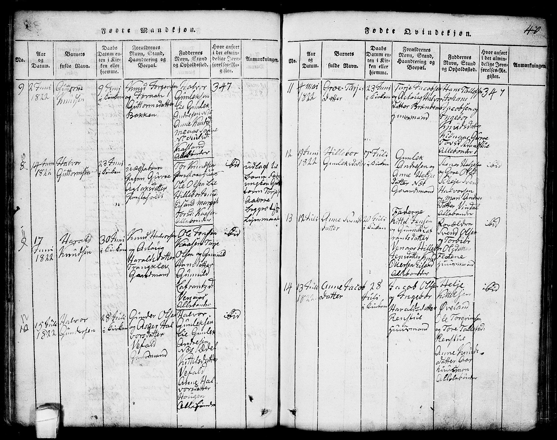 Seljord kirkebøker, AV/SAKO-A-20/G/Ga/L0001: Parish register (copy) no. I 1, 1815-1854, p. 40