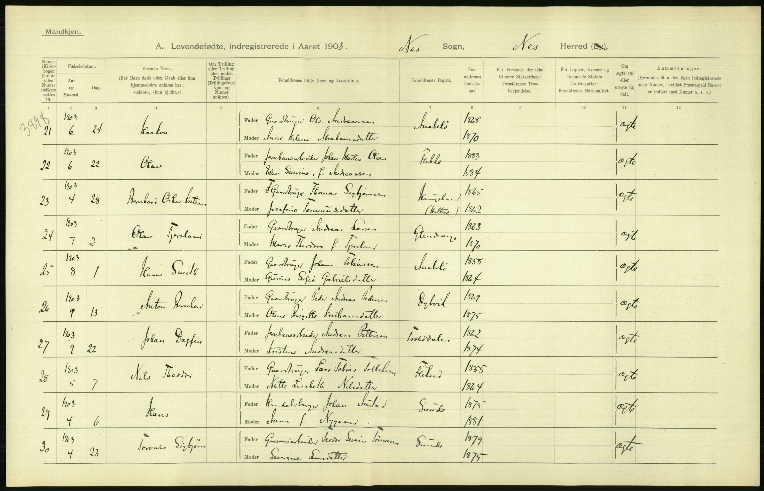 Statistisk sentralbyrå, Sosiodemografiske emner, Befolkning, AV/RA-S-2228/D/Df/Dfa/Dfaa/L0011: Lister og Mandal amt: Fødte, gifte, døde, 1903, p. 24