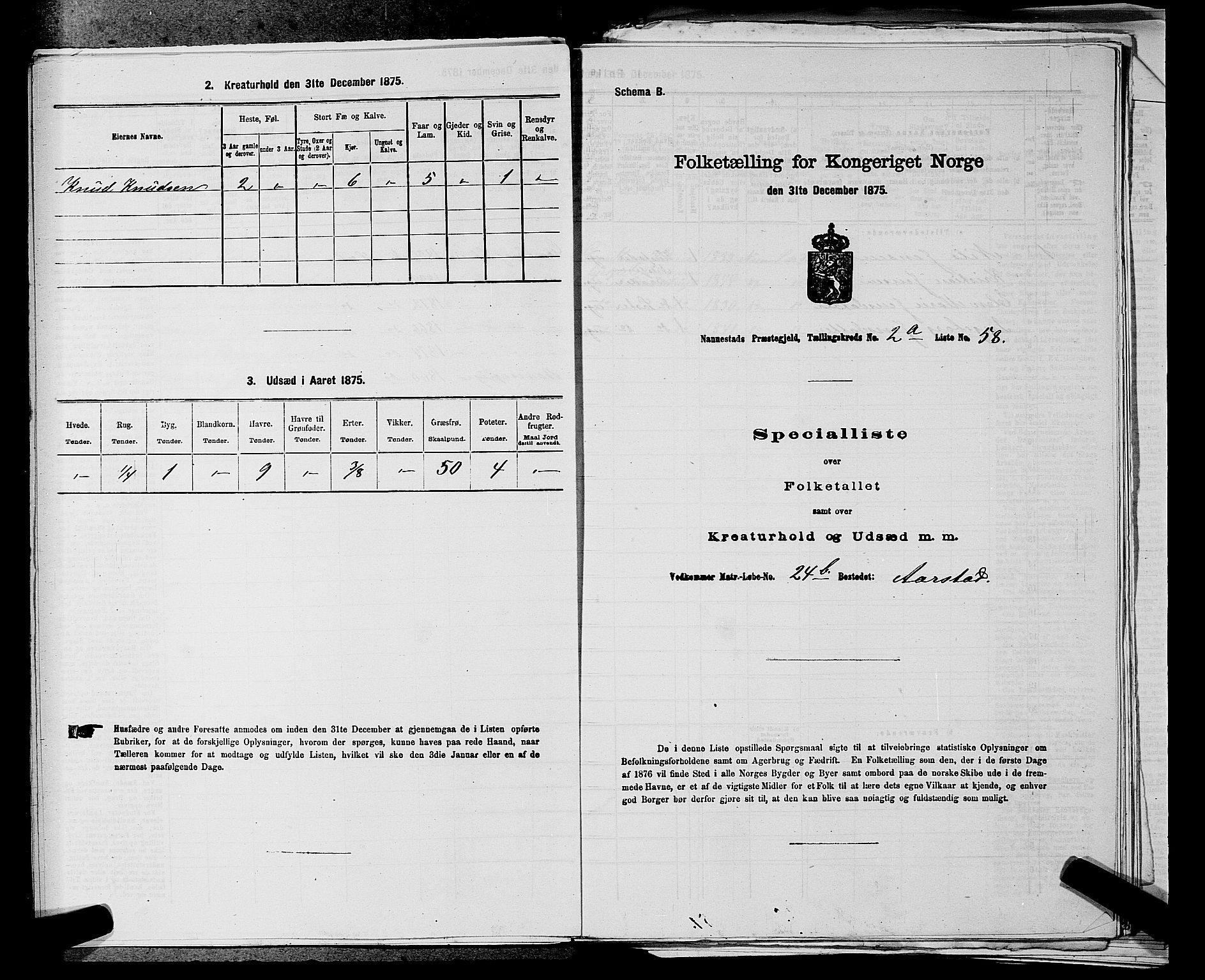 RA, 1875 census for 0238P Nannestad, 1875, p. 332