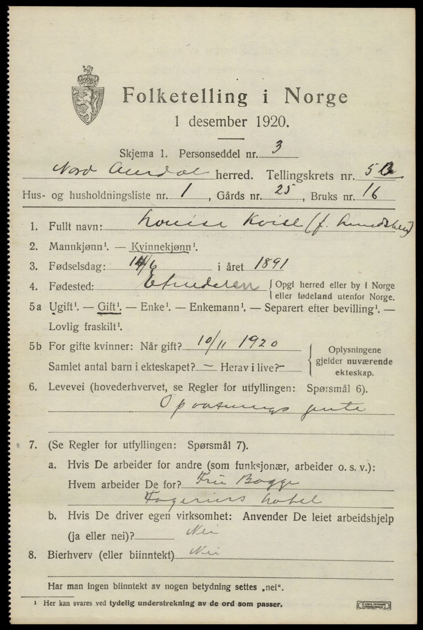 SAH, 1920 census for Nord-Aurdal, 1920, p. 4592