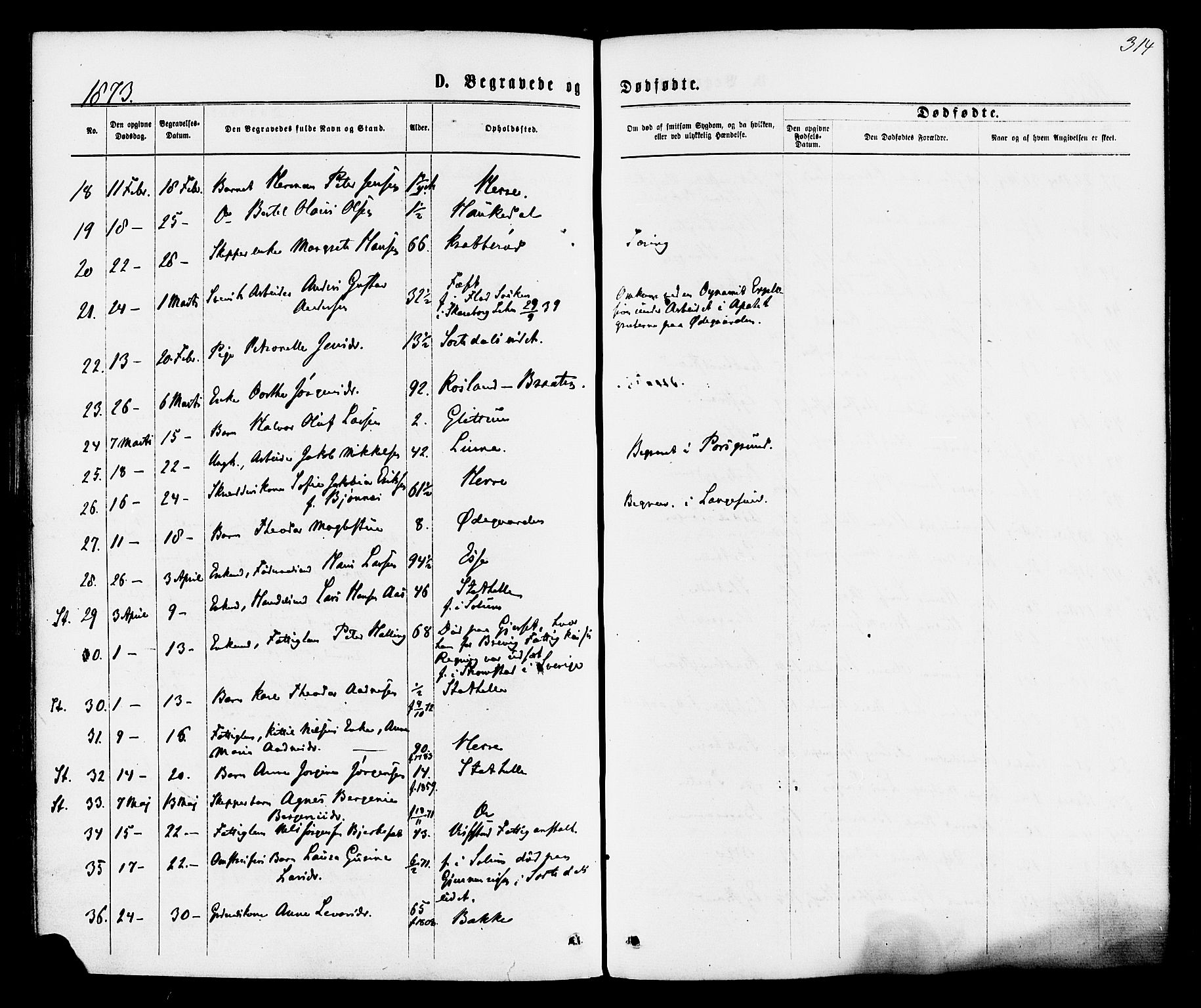 Bamble kirkebøker, SAKO/A-253/F/Fa/L0006: Parish register (official) no. I 6, 1869-1877, p. 314