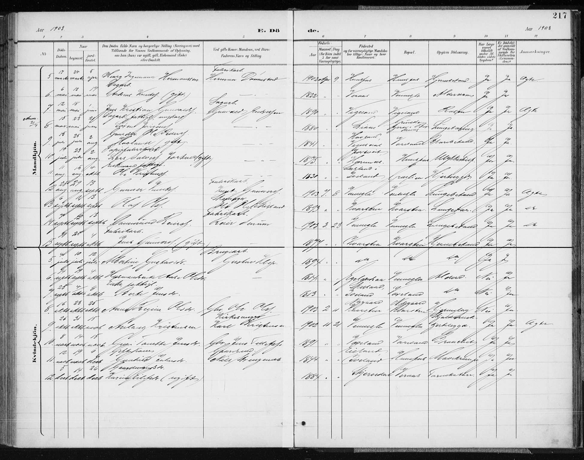 Vennesla sokneprestkontor, AV/SAK-1111-0045/Fa/Fab/L0005: Parish register (official) no. A 5, 1897-1909, p. 217