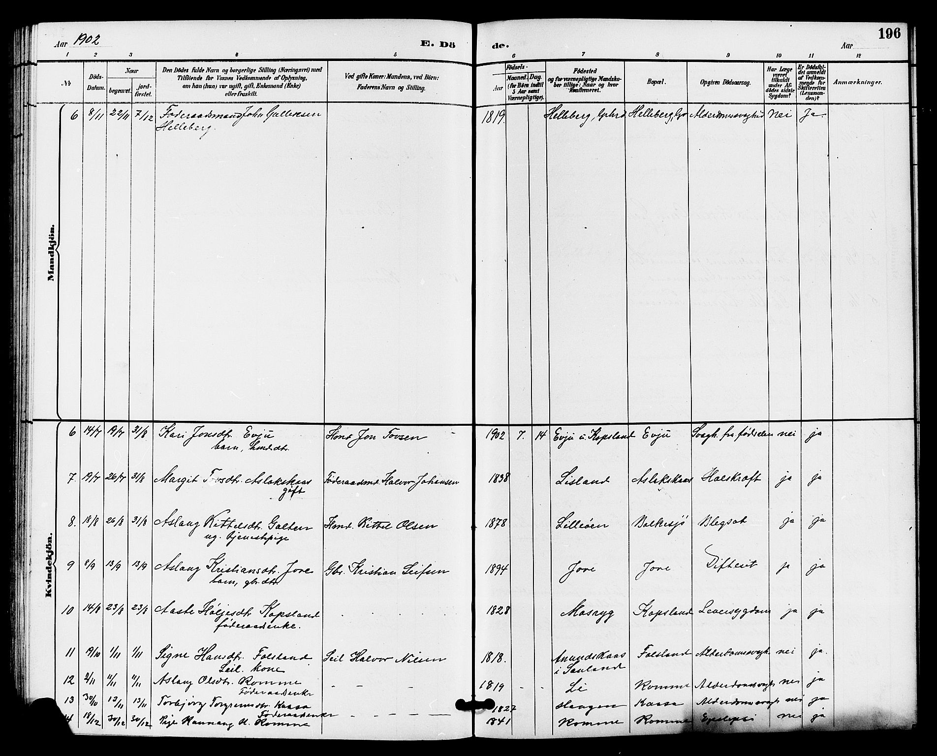 Gransherad kirkebøker, SAKO/A-267/G/Ga/L0003: Parish register (copy) no. I 3, 1887-1915, p. 196