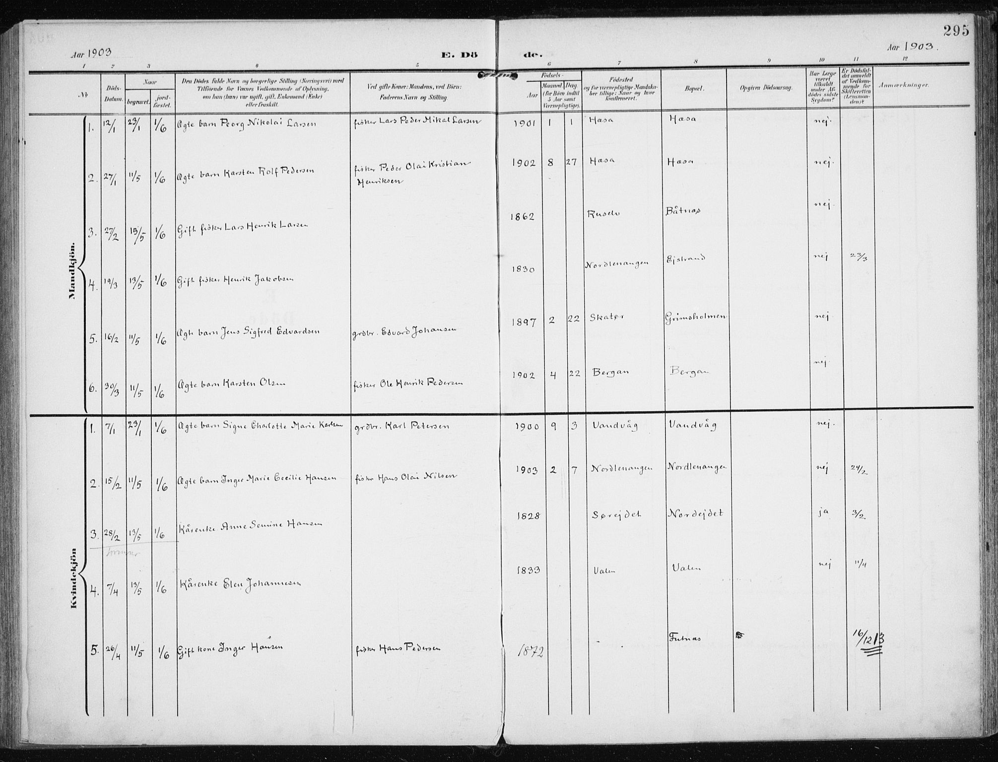 Karlsøy sokneprestembete, AV/SATØ-S-1299/H/Ha/Haa/L0014kirke: Parish register (official) no. 14, 1903-1917, p. 295