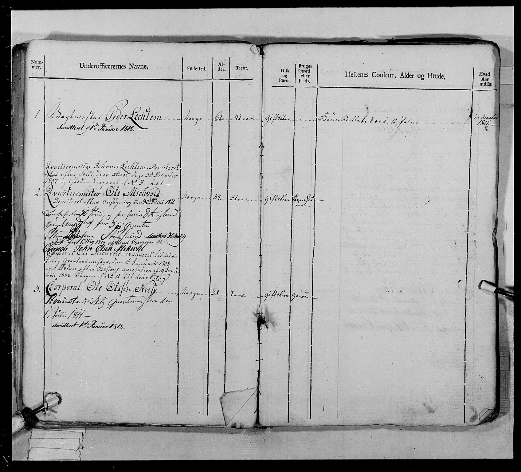 Generalitets- og kommissariatskollegiet, Det kongelige norske kommissariatskollegium, AV/RA-EA-5420/E/Eh/L0022b: Trondheimske dragonregiment, 1809-1811, p. 261