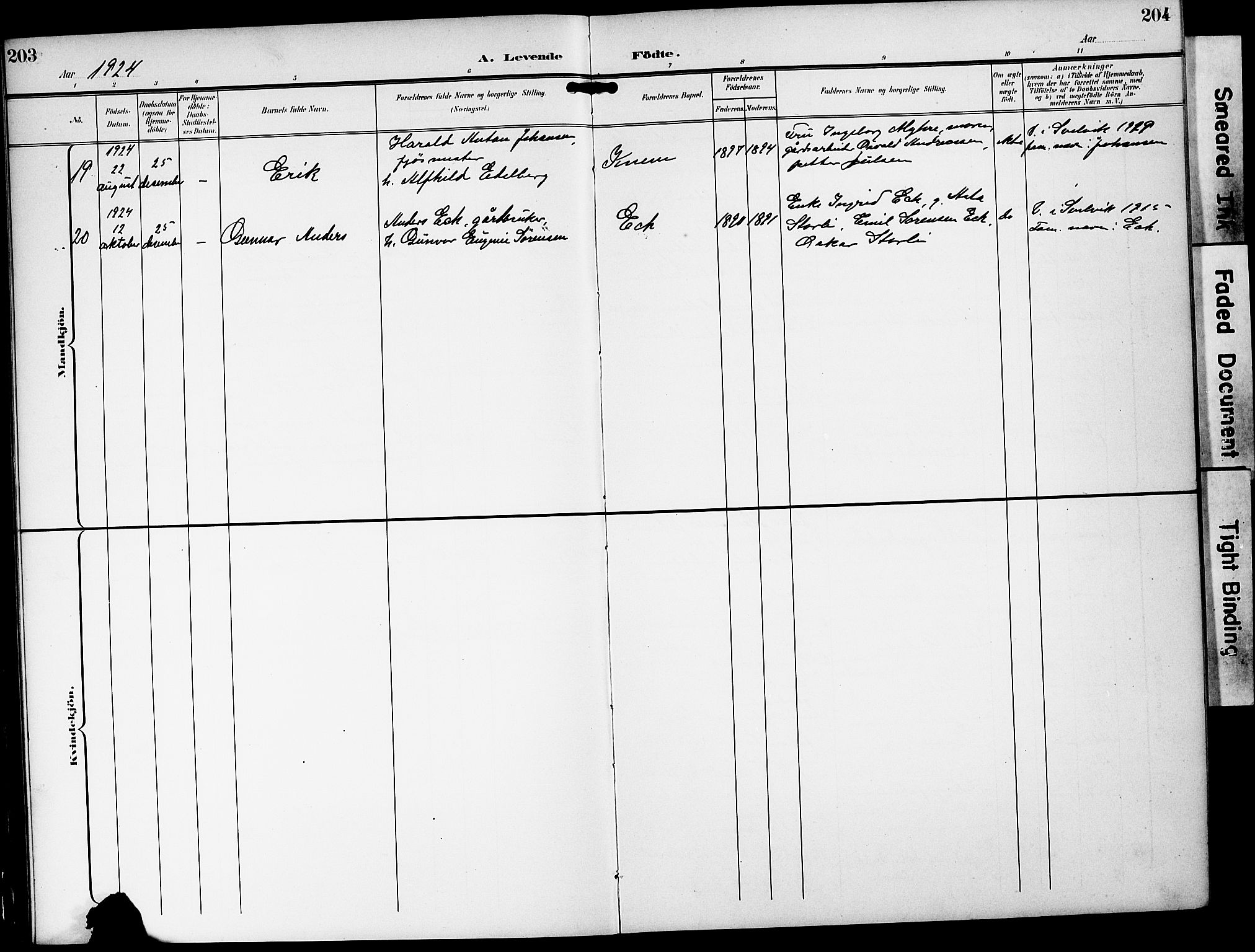 Strømm kirkebøker, AV/SAKO-A-322/G/Ga/L0004: Parish register (copy) no. I 4, 1897-1927, p. 203-204