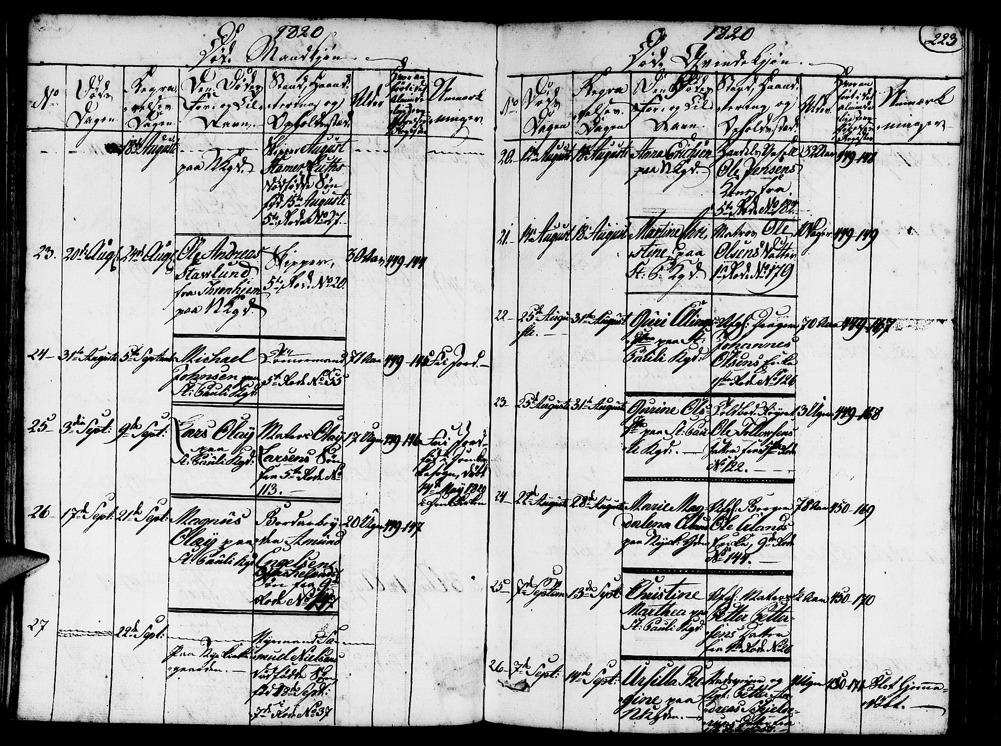 Nykirken Sokneprestembete, AV/SAB-A-77101/H/Hab/L0003: Parish register (copy) no. A 4, 1816-1821, p. 223