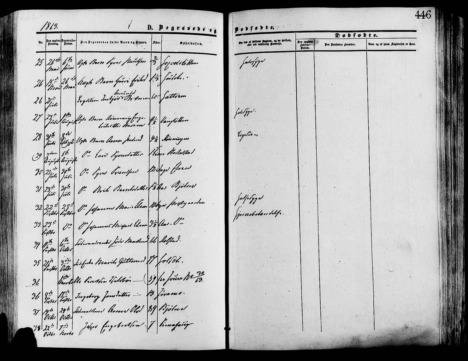 Lesja prestekontor, SAH/PREST-068/H/Ha/Haa/L0008: Parish register (official) no. 8, 1854-1880, p. 446