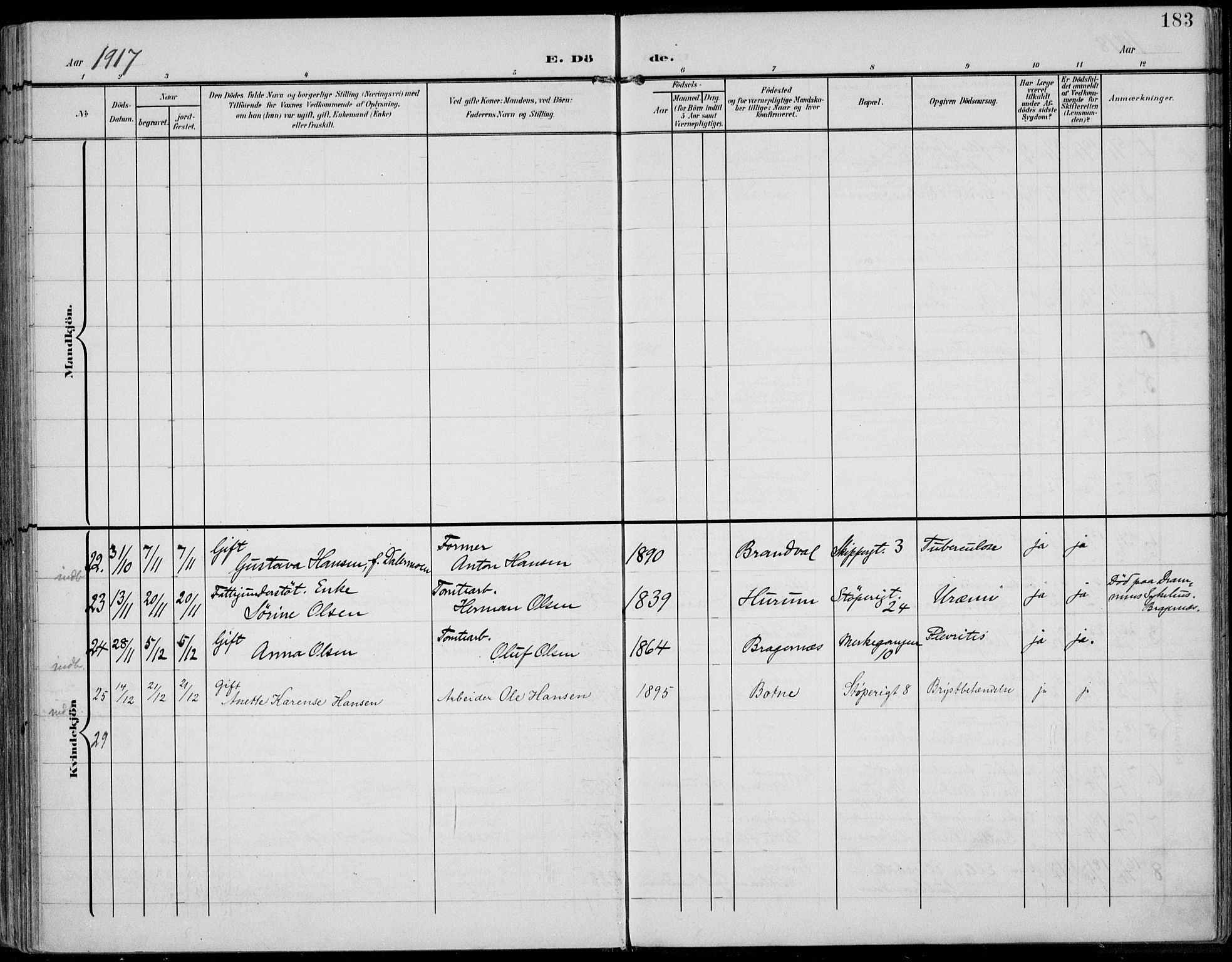 Strømsø kirkebøker, AV/SAKO-A-246/F/Fb/L0008: Parish register (official) no. II 8, 1902-1933, p. 183