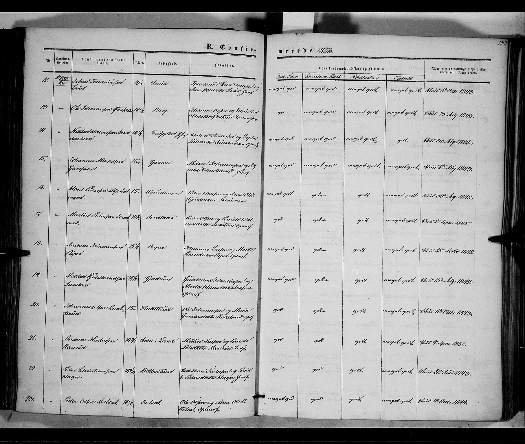 Vestre Toten prestekontor, SAH/PREST-108/H/Ha/Haa/L0006: Parish register (official) no. 6, 1856-1861, p. 133