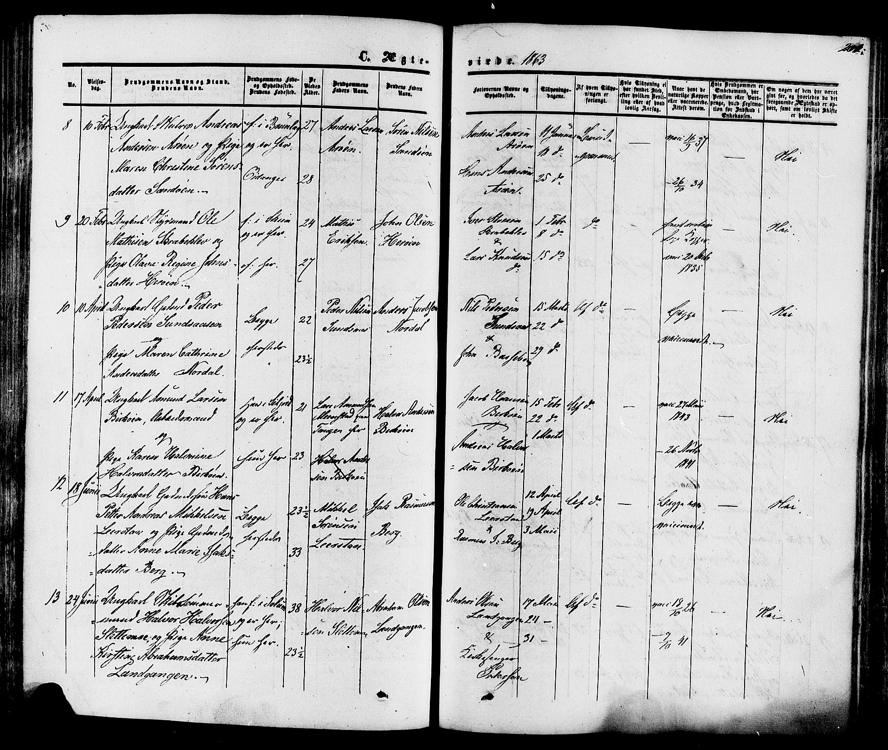 Eidanger kirkebøker, SAKO/A-261/F/Fa/L0010: Parish register (official) no. 10, 1859-1874, p. 201