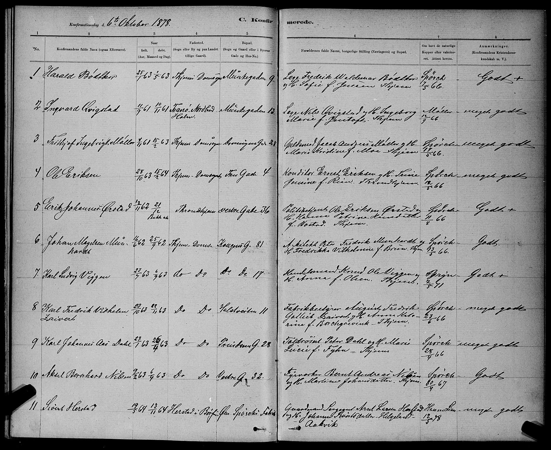 Ministerialprotokoller, klokkerbøker og fødselsregistre - Sør-Trøndelag, AV/SAT-A-1456/601/L0091: Parish register (copy) no. 601C09, 1878-1883