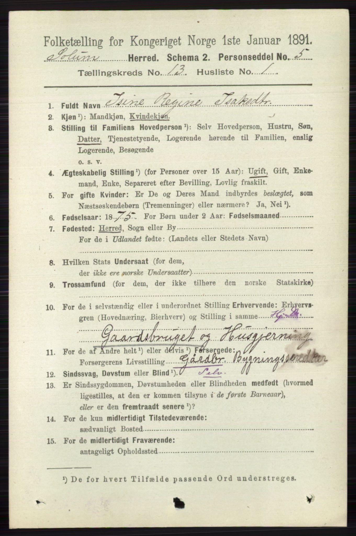 RA, 1891 census for 0818 Solum, 1891, p. 6061