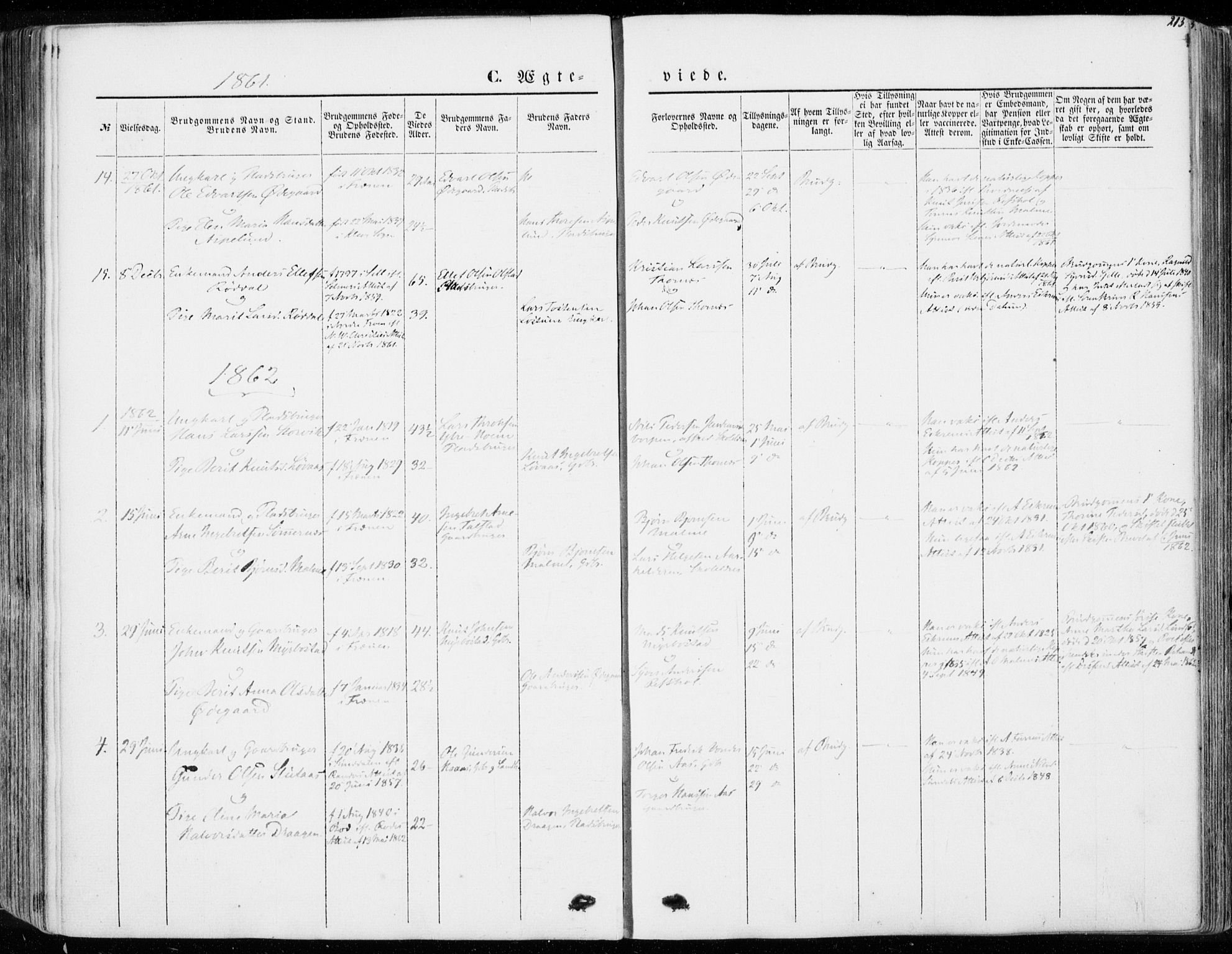 Ministerialprotokoller, klokkerbøker og fødselsregistre - Møre og Romsdal, SAT/A-1454/565/L0748: Parish register (official) no. 565A02, 1845-1872, p. 213