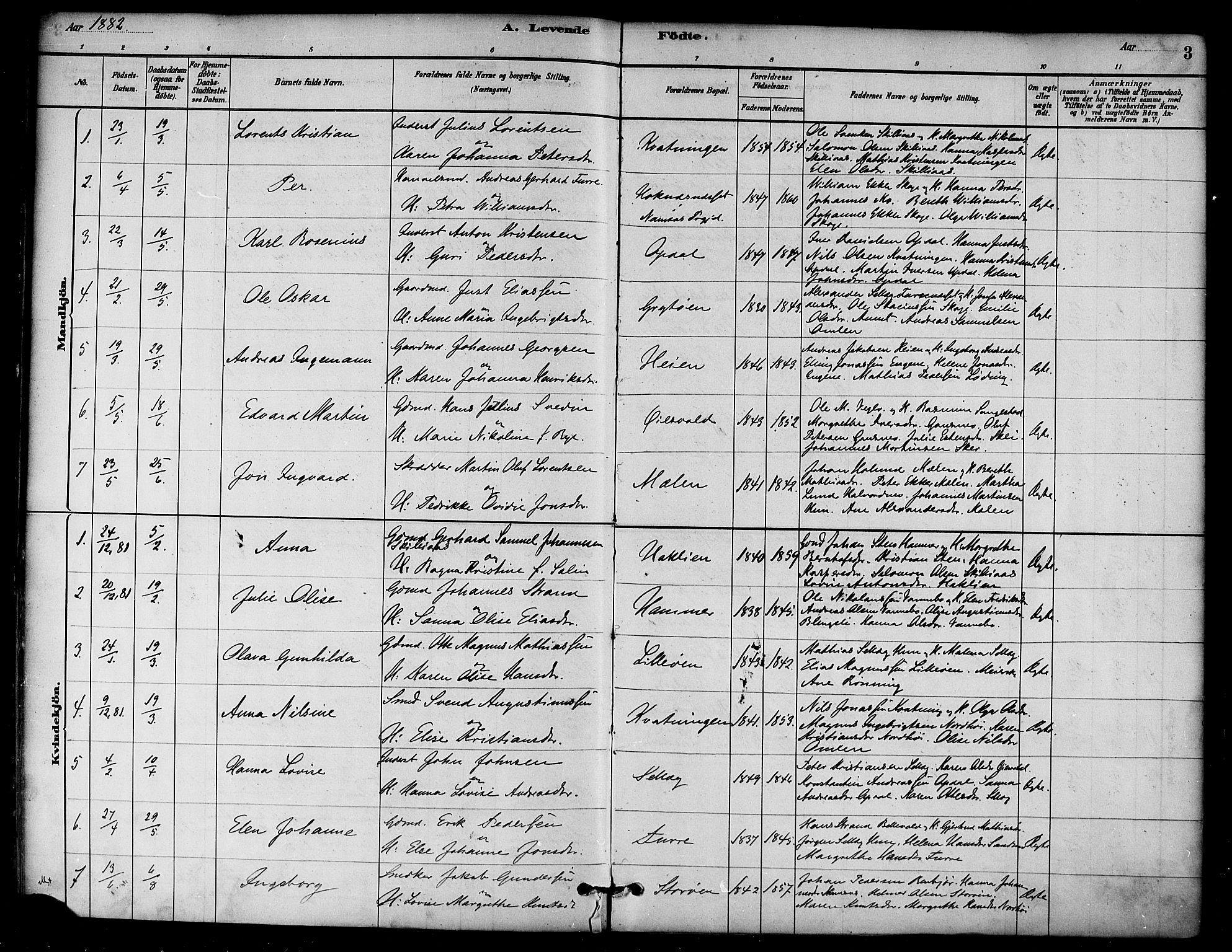 Ministerialprotokoller, klokkerbøker og fødselsregistre - Nord-Trøndelag, SAT/A-1458/766/L0563: Parish register (official) no. 767A01, 1881-1899, p. 3