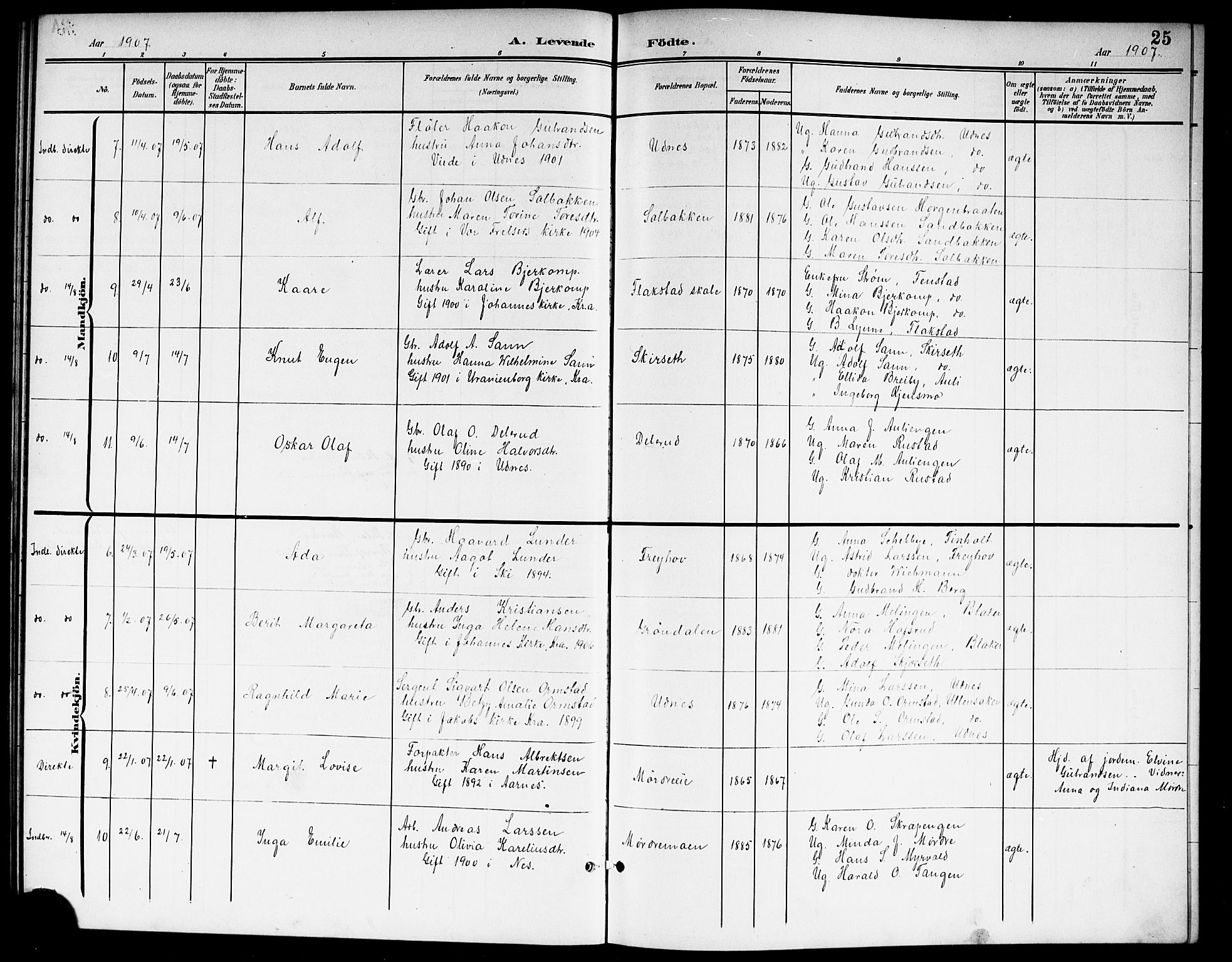Nes prestekontor Kirkebøker, SAO/A-10410/G/Gb/L0001: Parish register (copy) no. II 1, 1901-1917, p. 25