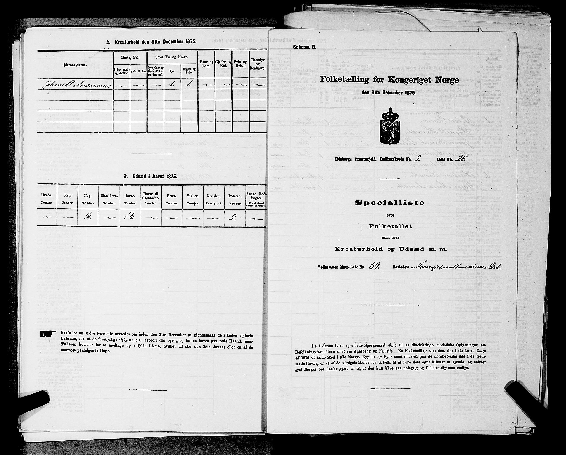 RA, 1875 census for 0125P Eidsberg, 1875, p. 409