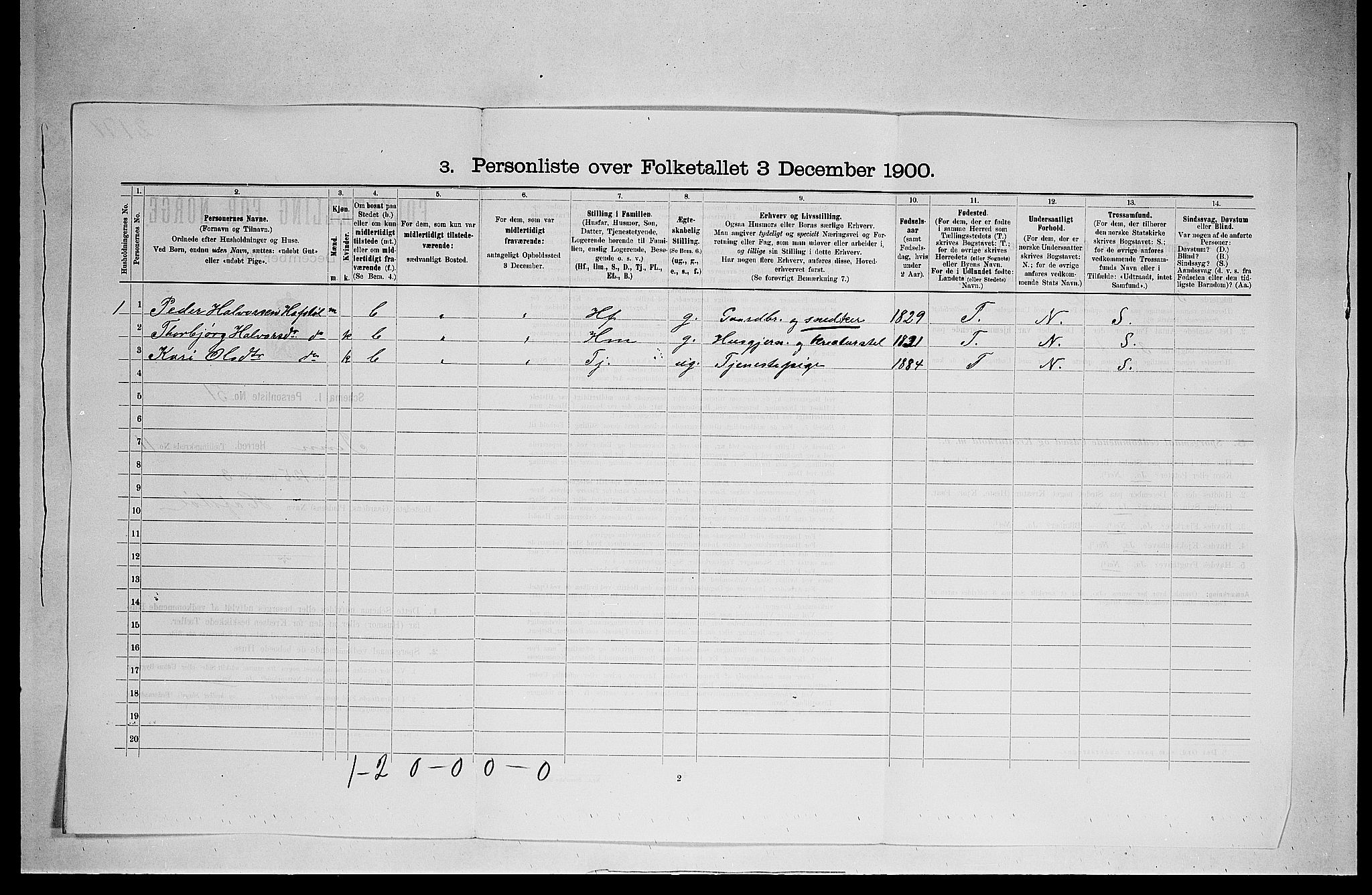 SAKO, 1900 census for Tinn, 1900, p. 872