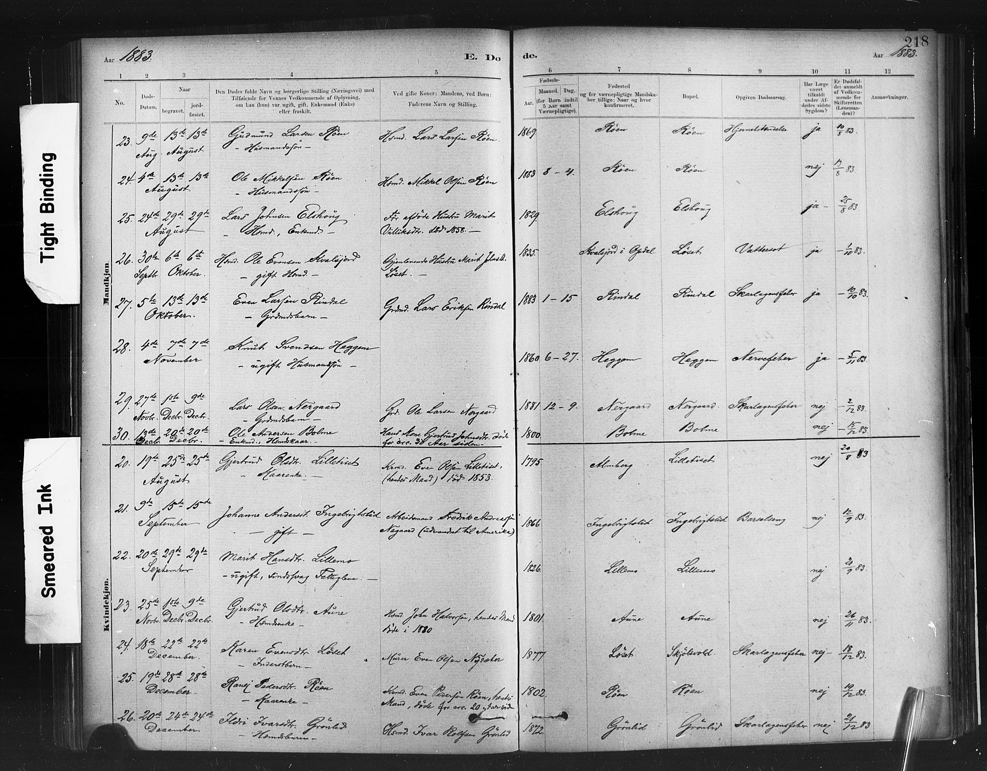 Ministerialprotokoller, klokkerbøker og fødselsregistre - Møre og Romsdal, AV/SAT-A-1454/598/L1069: Parish register (official) no. 598A03, 1882-1895, p. 218