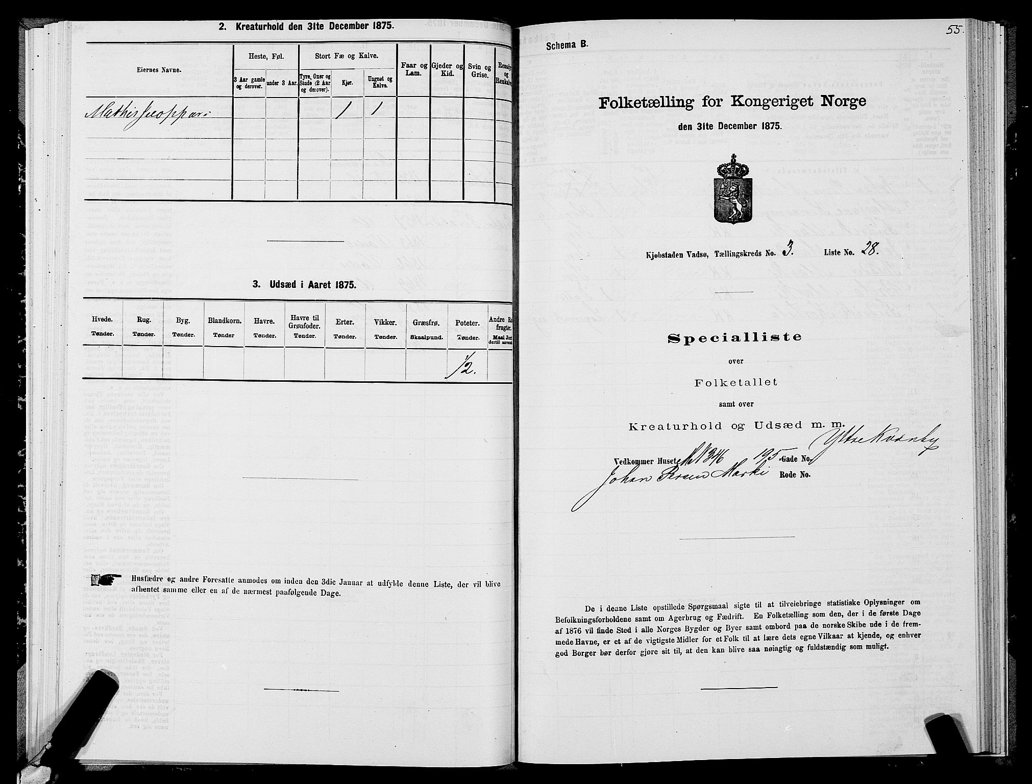 SATØ, 1875 census for 2003B Vadsø/Vadsø, 1875, p. 2055